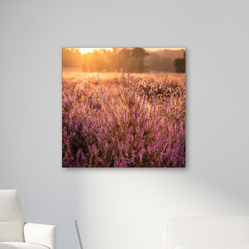 Office Poster  - Westruper Heide bei Haltern im Münsterland in modernem Büro-Pausenraum mit Glaswand Zoom