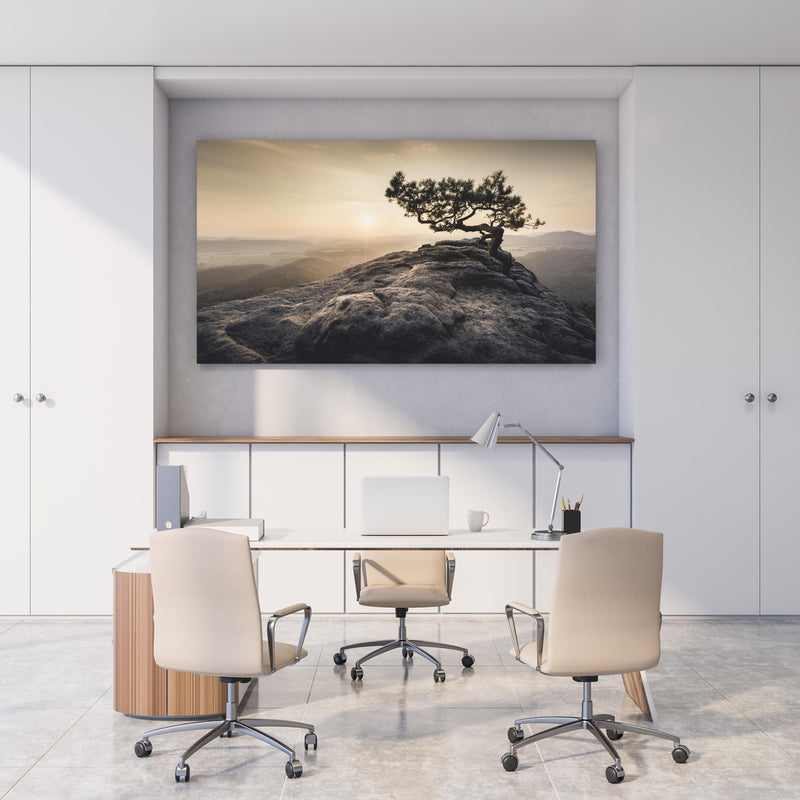 Office Poster  - alte Kiefer zum Sonnenaufgang - Sächsische Schweiz hinter weißem Holzschreibtisch mit Tischlampe