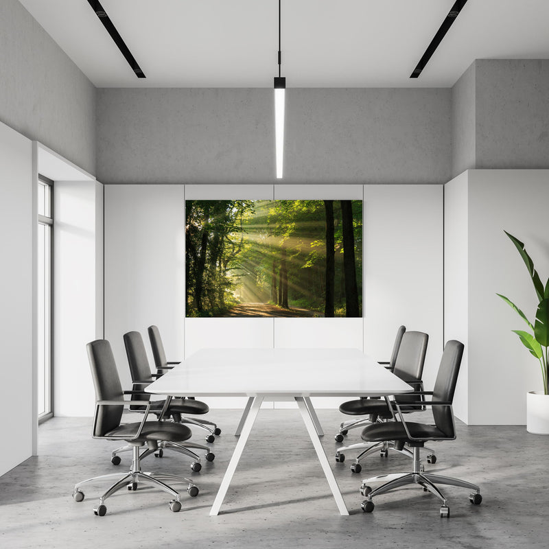 Office Poster  - erleuchtende Sonnenstrahlen in den Wald  in einem Konferenzraum an weißer Wand hängend