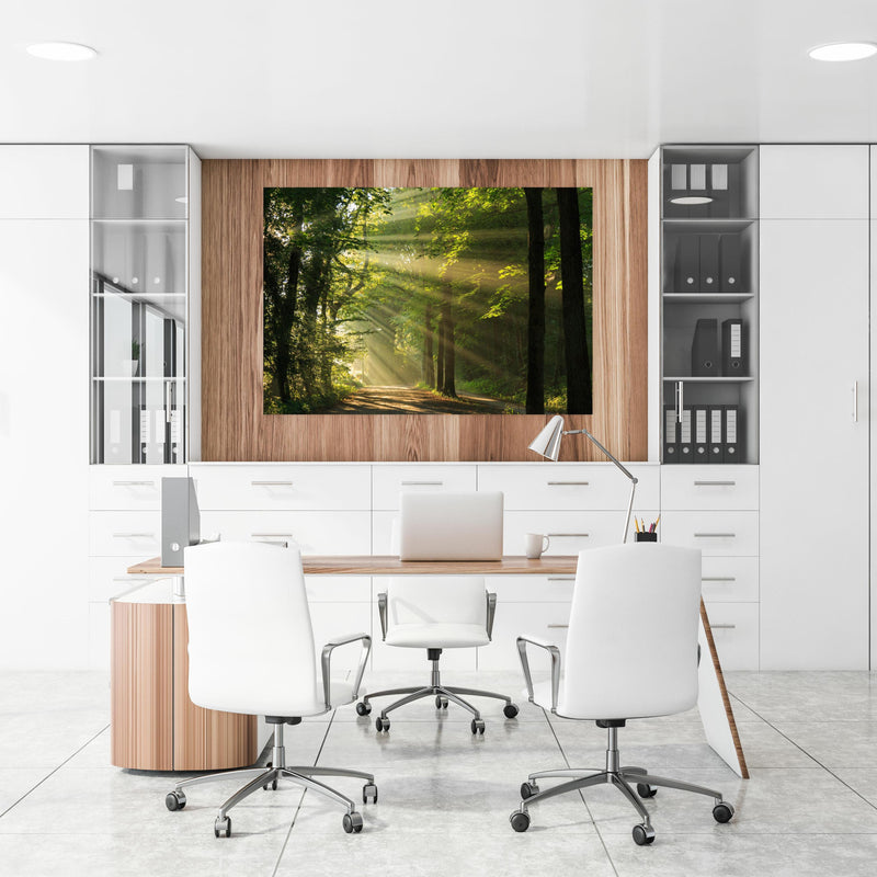 Office Poster  - erleuchtende Sonnenstrahlen in den Wald  an einer Holzwand hängend im Büroraum
Office Poster  - erleuchtende Sonnenstrahlen in den Wald  an einer Holzwand hängend im Büroraum