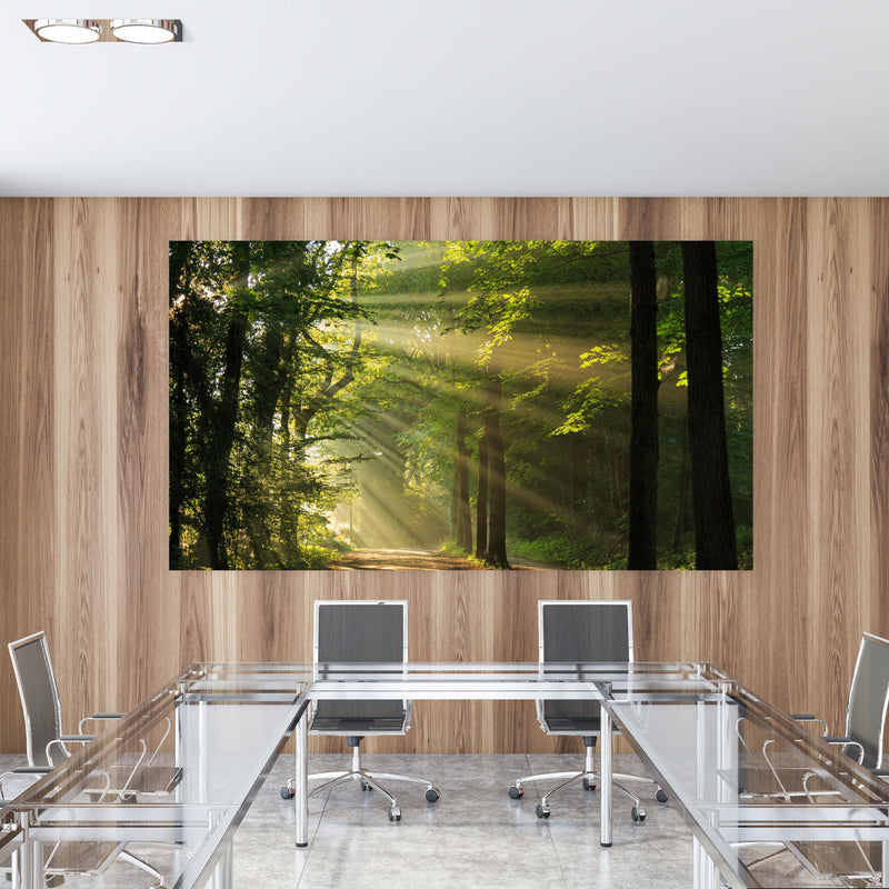 Office Poster  - erleuchtende Sonnenstrahlen in den Wald  in einem Konferenzraum mit Glastisch und Holzwand