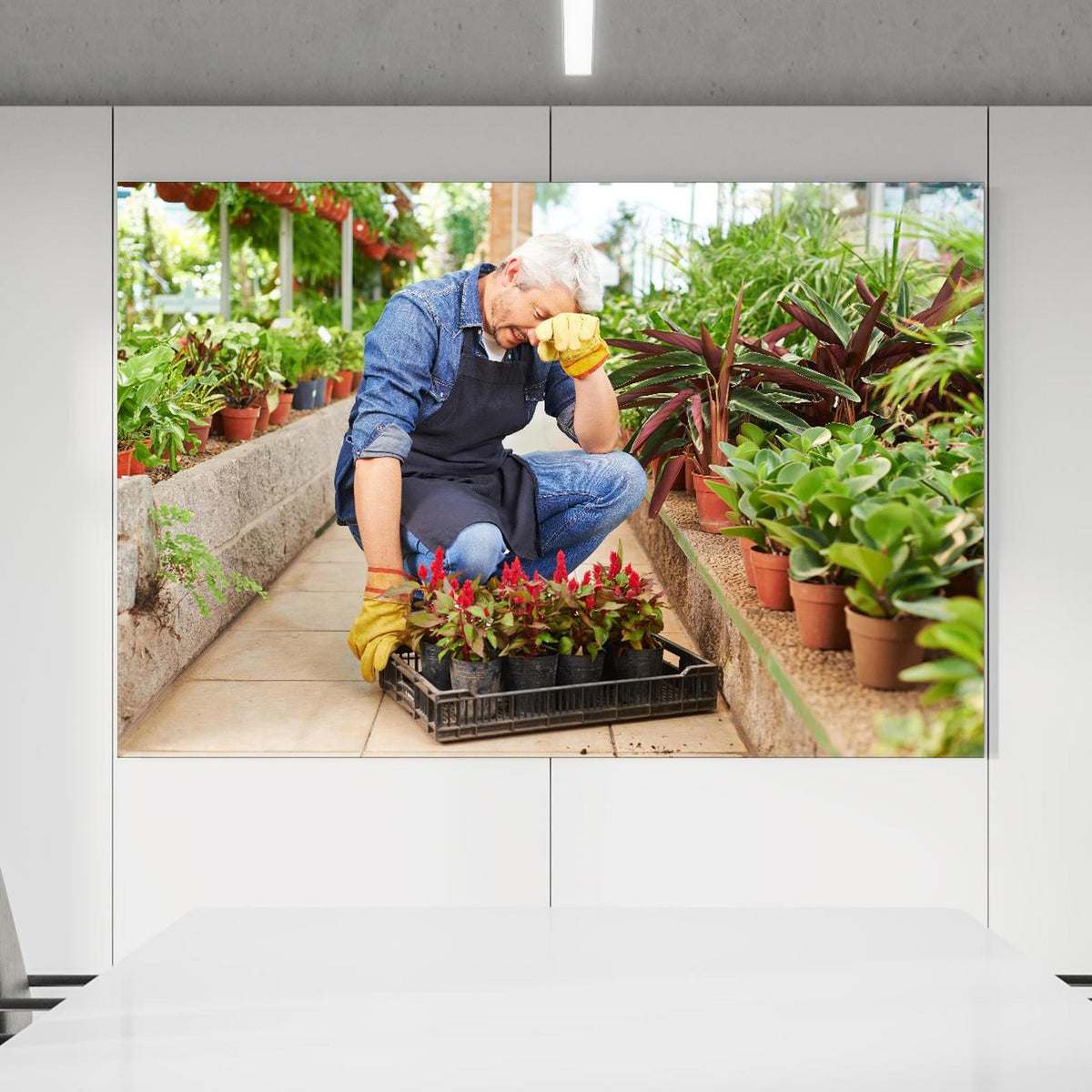 Office Poster - erschöpfter Gärtner im Gewächshaus - Rueckwand24