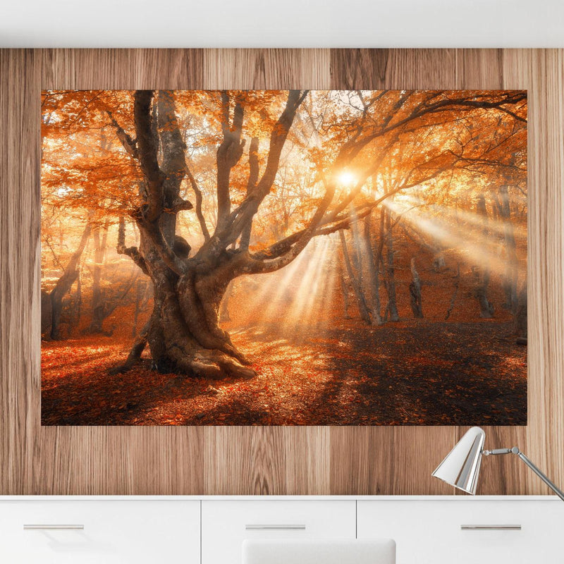 Office Poster  - magischer alter Baum im Herbst an einer Holzwand hängend im Büroraum Zoom