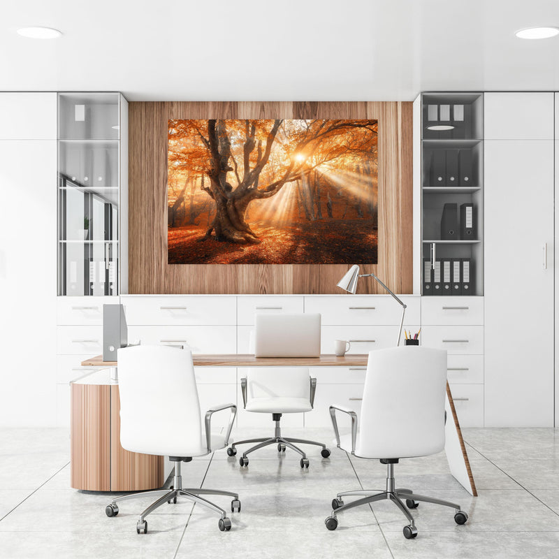 Office Poster  - magischer alter Baum im Herbst an einer Holzwand hängend im Büroraum
Office Poster  - magischer alter Baum im Herbst an einer Holzwand hängend im Büroraum