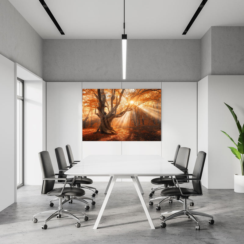 Office Poster  - magischer alter Baum im Herbst in einem Konferenzraum an weißer Wand hängend