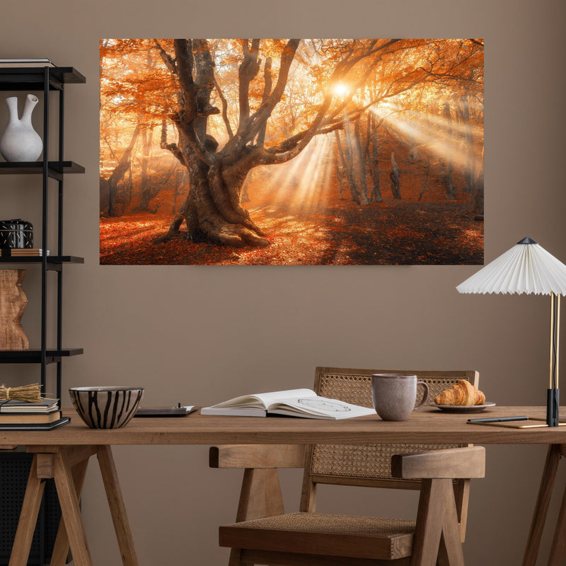 Office Poster  - magischer alter Baum im Herbst über poliertem Holztisch mit stilvoller Lampe - rechteckig