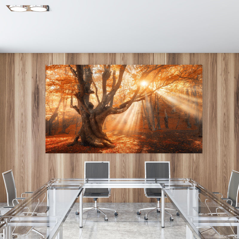 Office Poster  - magischer alter Baum im Herbst in einem Konferenzraum mit Glastisch und Holzwand