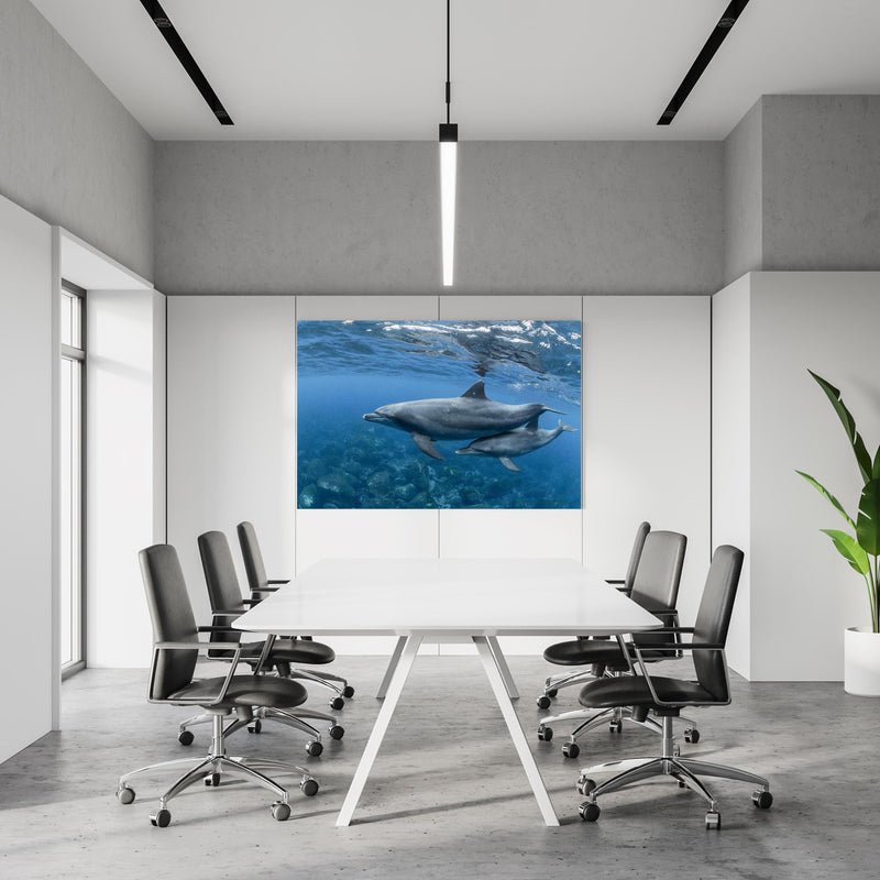 Office Poster  - niedliche Delfin-Familie in einem Konferenzraum an weißer Wand hängend