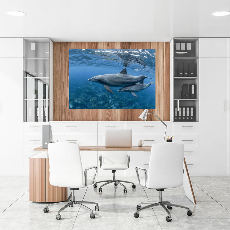 Office Poster  - niedliche Delfin-Familie an einer Holzwand hängend im Büroraum
Office Poster  - niedliche Delfin-Familie an einer Holzwand hängend im Büroraum