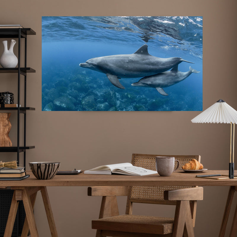 Office Poster  - niedliche Delfin-Familie über poliertem Holztisch mit stilvoller Lampe - rechteckig