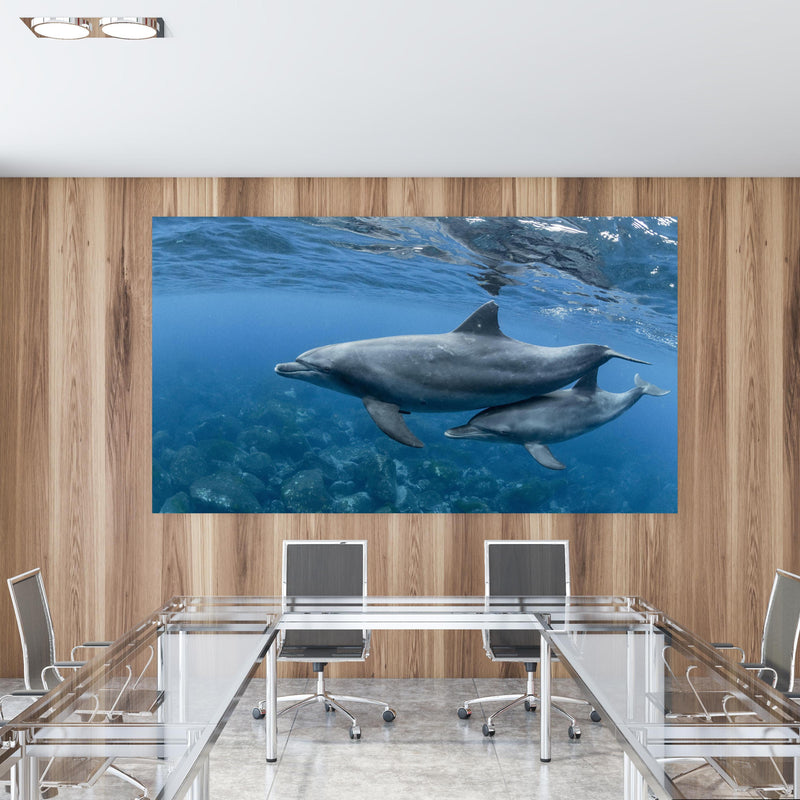 Office Poster  - niedliche Delfin-Familie in einem Konferenzraum mit Glastisch und Holzwand