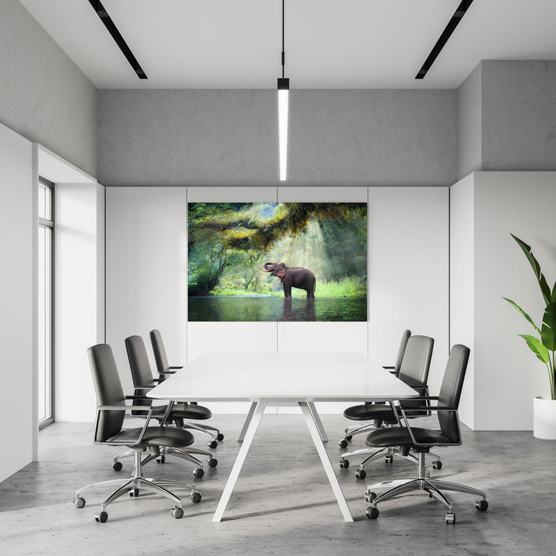 Office Poster  - wilde Elefanten im Wald von Kanchanaburi  in einem Konferenzraum an weißer Wand hängend