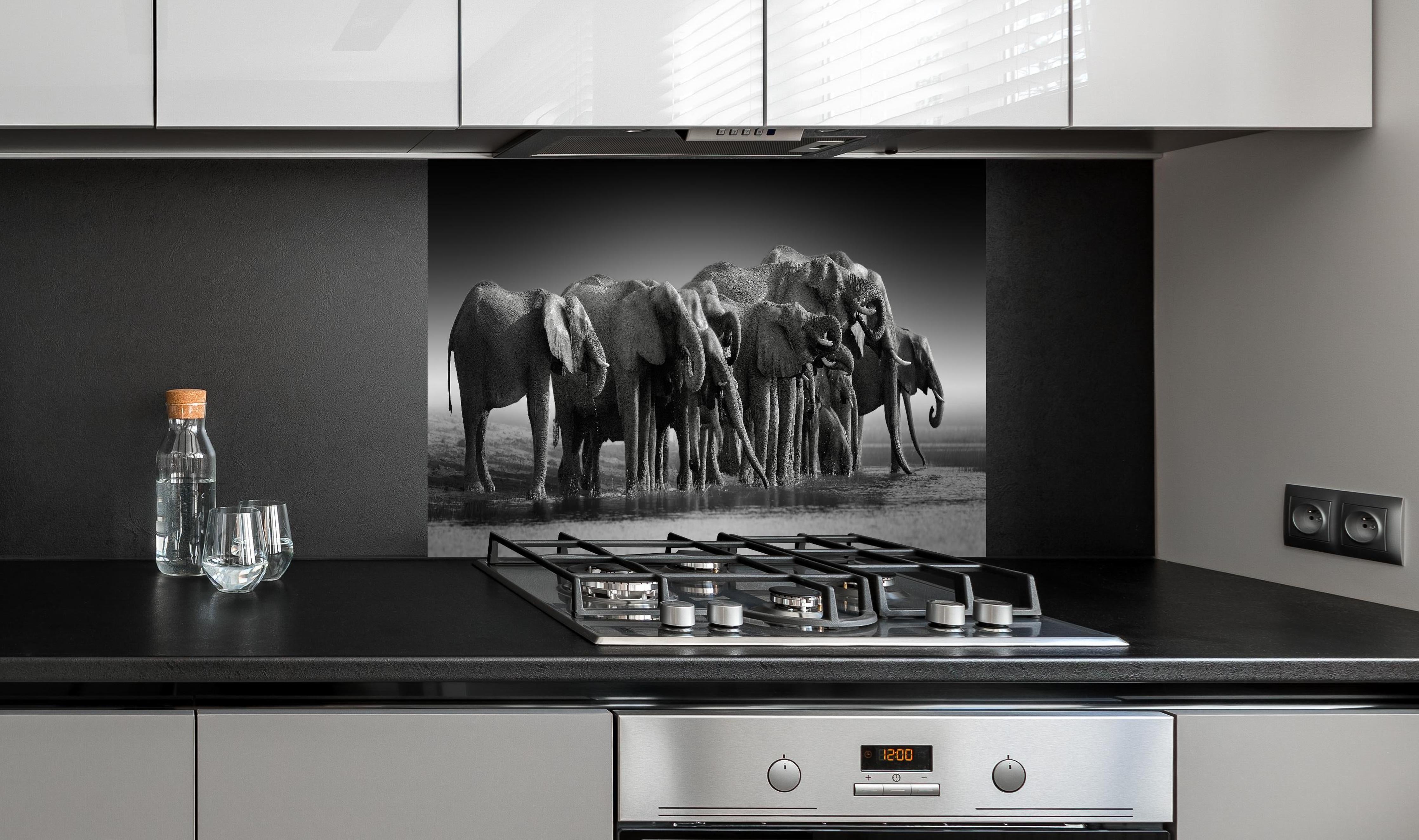 Spritzschutz - Afrikanische Elefantenherde (Schwarz-Weiß) hinter einem Cerankochfeld zwischen Holz-Kochutensilien

