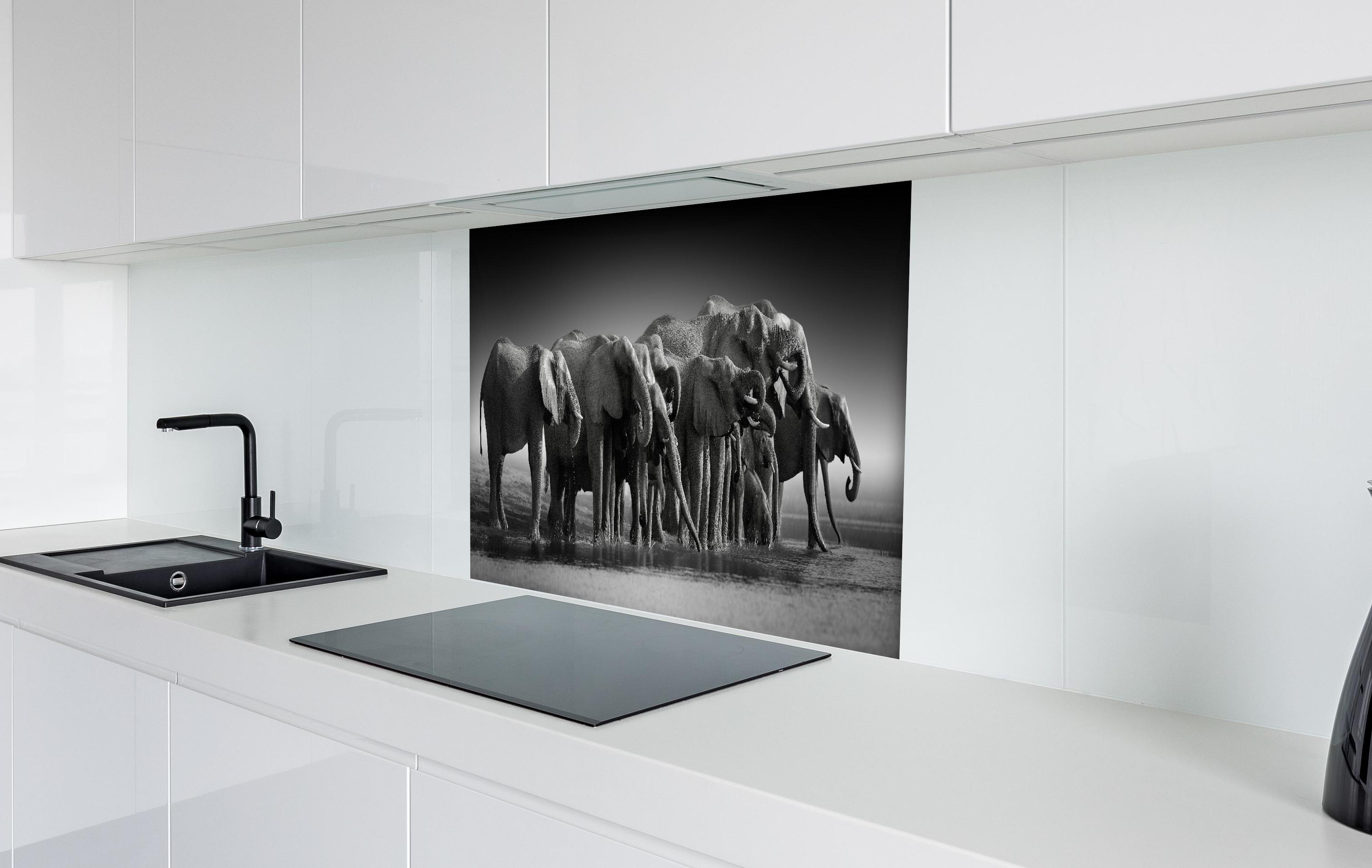 Spritzschutz - Afrikanische Elefantenherde (Schwarz-Weiß) hinter einem Cerankochfeld zwischen Holz-Kochutensilien
