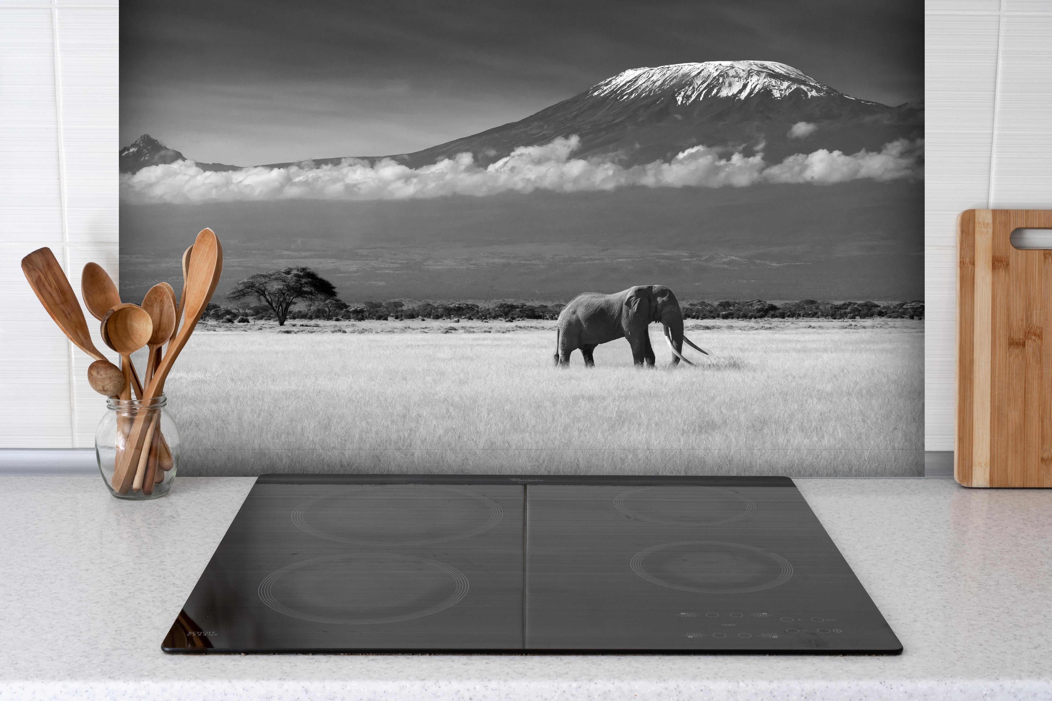 Spritzschutz - Afrikanische Landschaft - Schwarz-weiß hinter einem Cerankochfeld zwischen Holz-Kochutensilien

