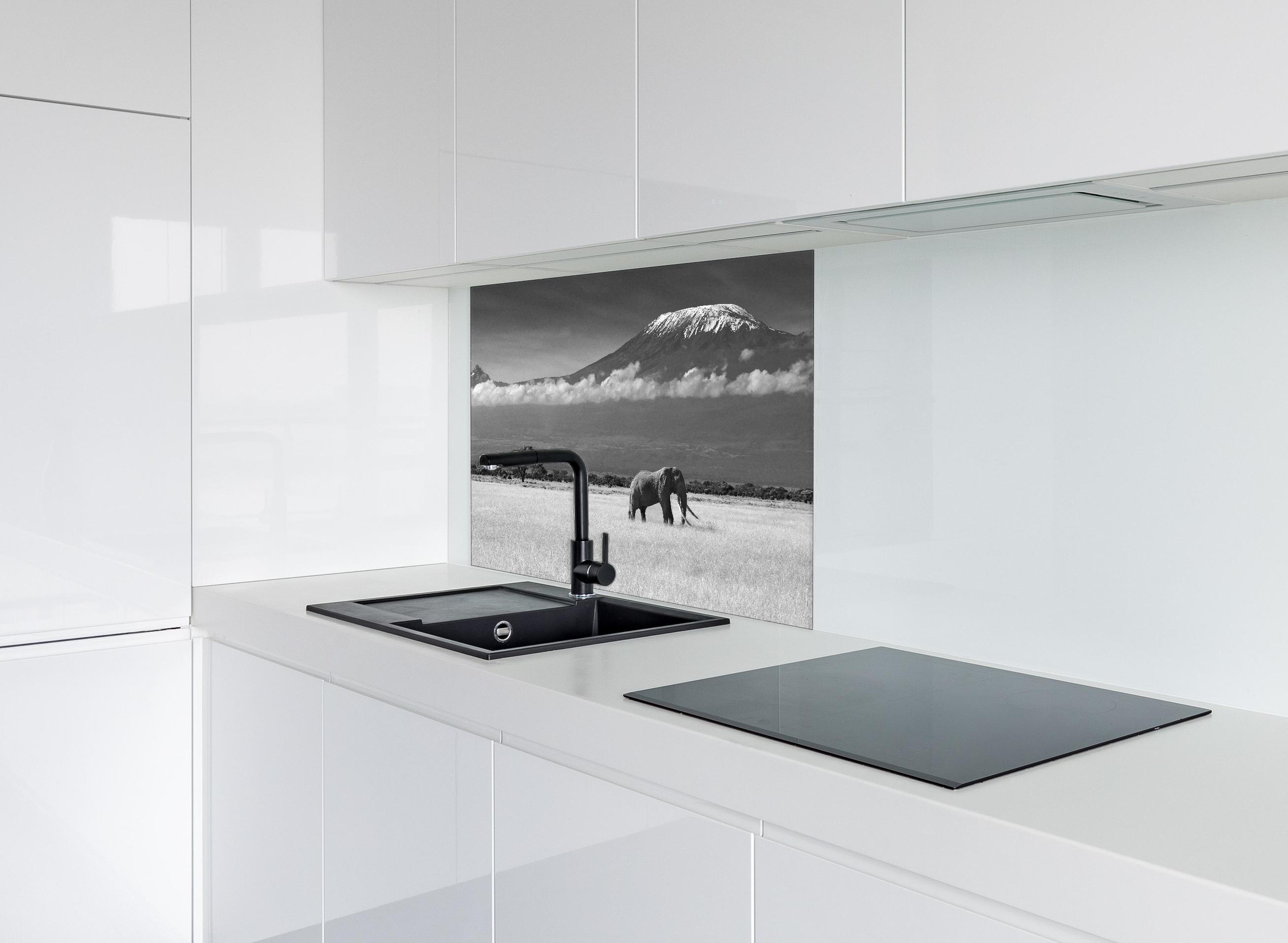 Spritzschutz - Afrikanische Landschaft - Schwarz-weiß hinter einem Cerankochfeld zwischen Holz-Kochutensilien
