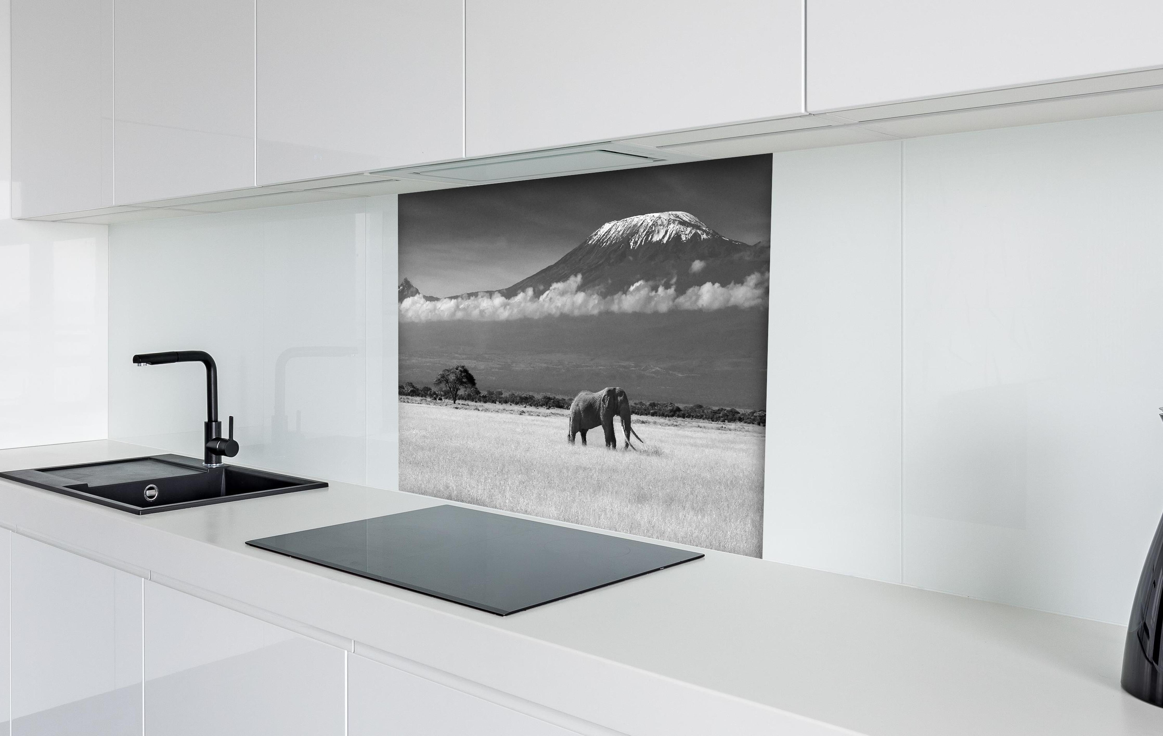 Spritzschutz - Afrikanische Landschaft - Schwarz-weiß hinter einem Cerankochfeld zwischen Holz-Kochutensilien
