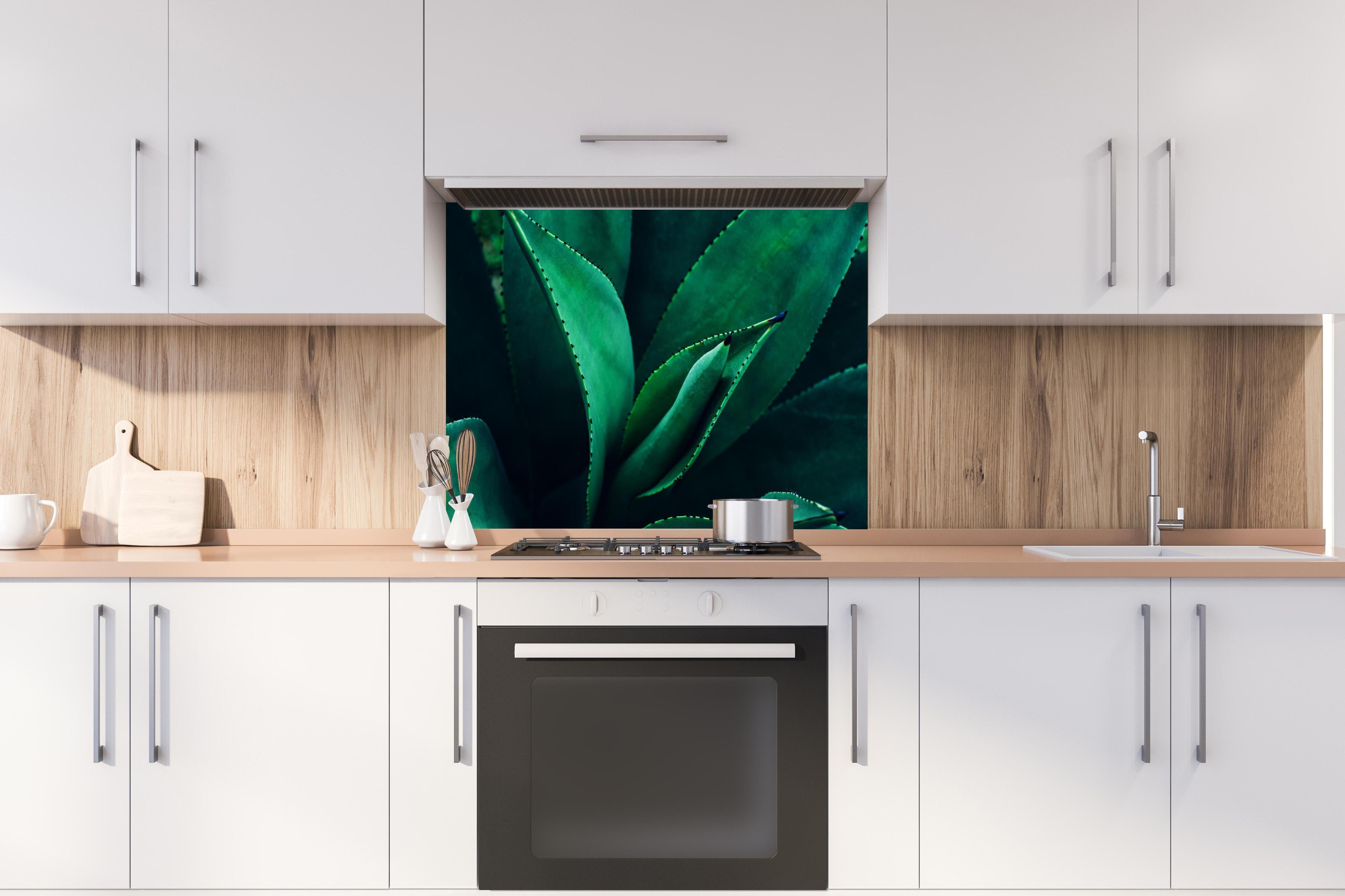 Spritzschutz - Agave Kaktus - Nahaufnahme hinter einem Cerankochfeld zwischen Holz-Kochutensilien

