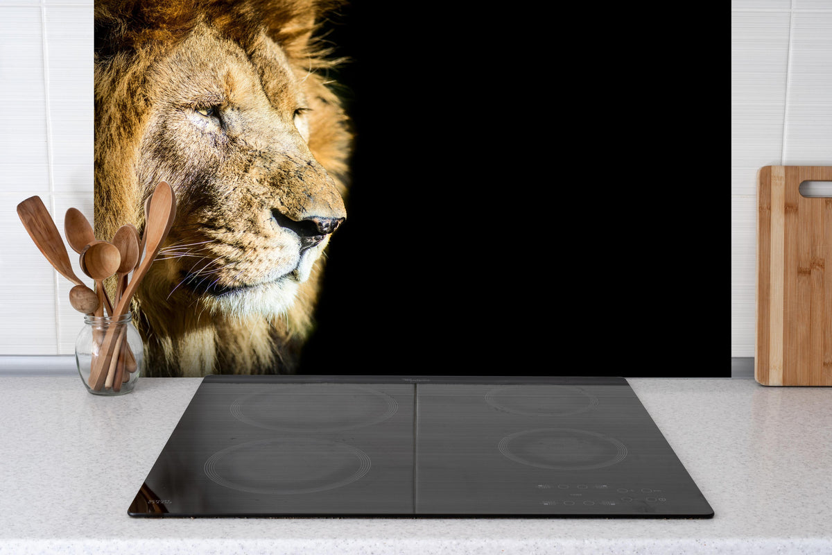 Spritzschutz - Alter Löwe auf schwarzem Hintergrund hinter einem Cerankochfeld zwischen Holz-Kochutensilien

