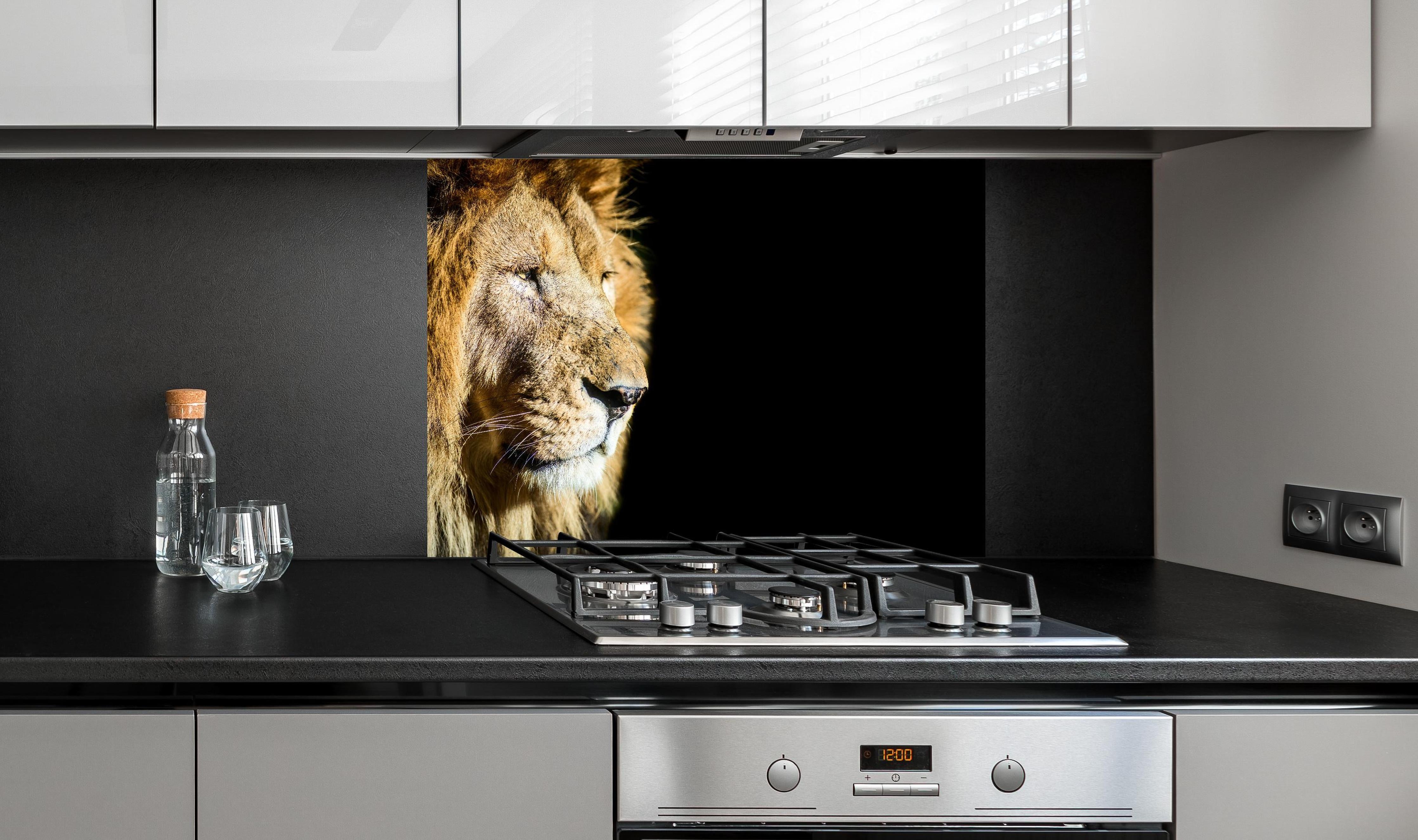 Spritzschutz - Alter Löwe auf schwarzem Hintergrund hinter einem Cerankochfeld zwischen Holz-Kochutensilien
