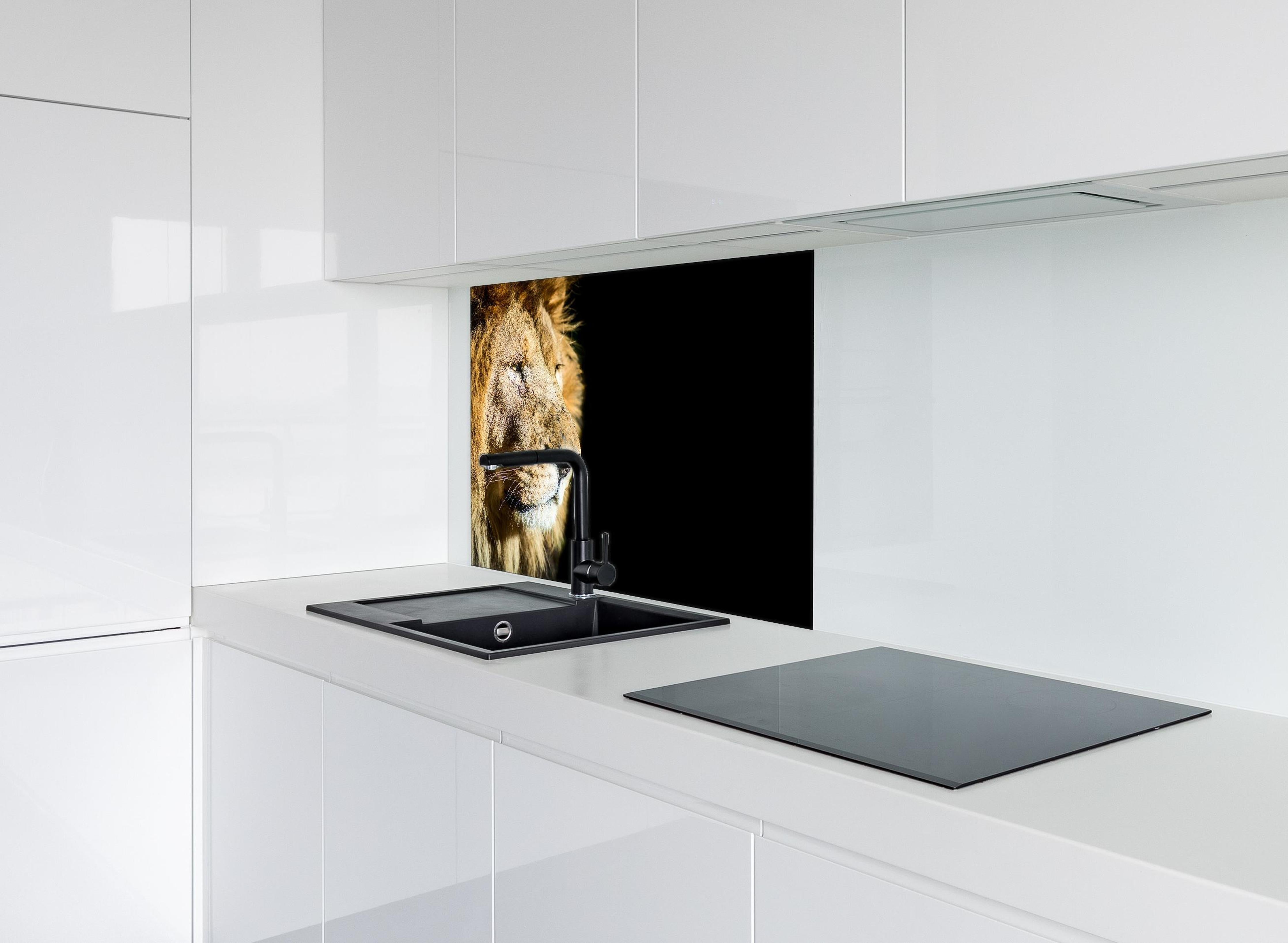 Spritzschutz - Alter Löwe auf schwarzem Hintergrund hinter einem Cerankochfeld zwischen Holz-Kochutensilien
