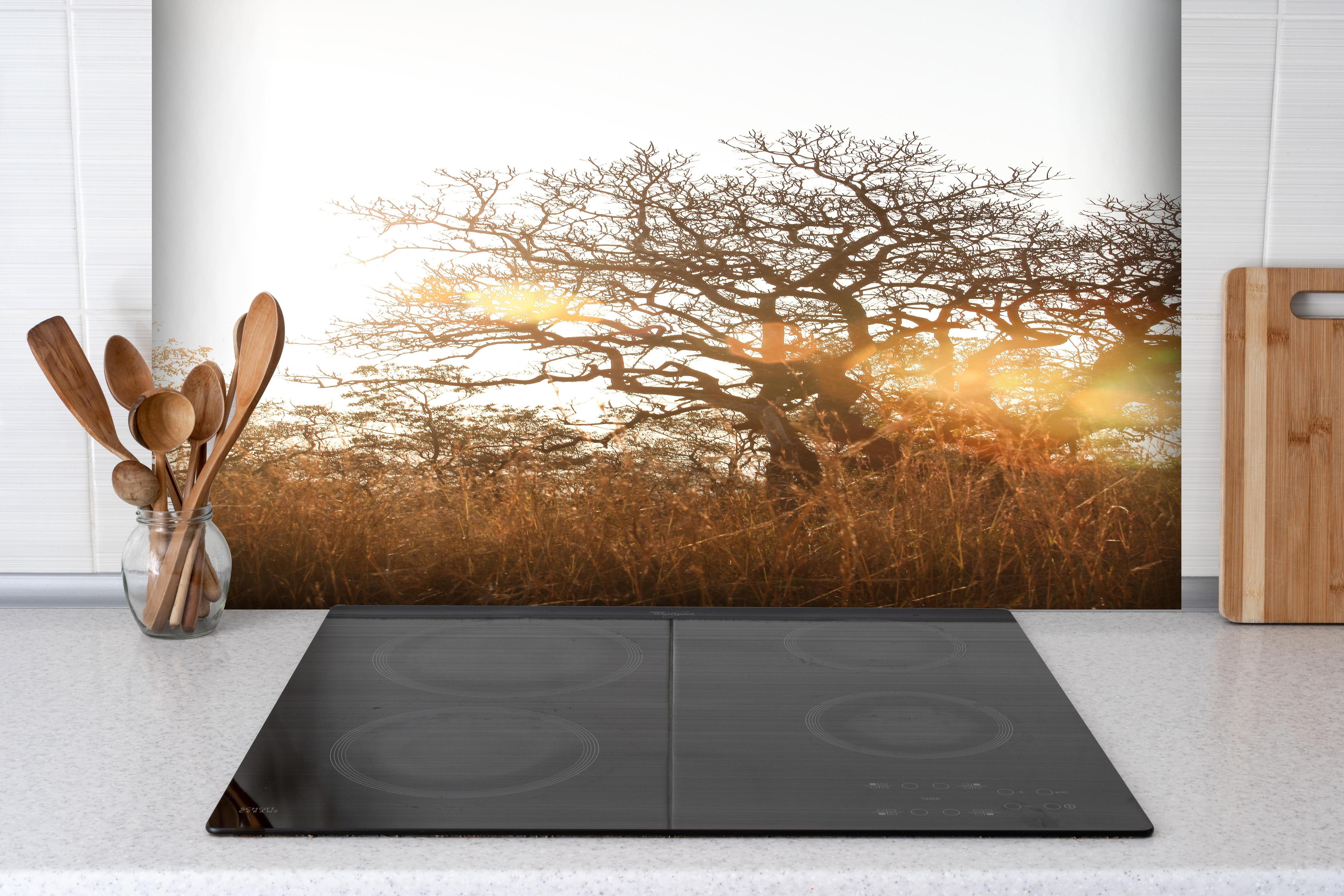 Spritzschutz - Baum im Feld hinter einem Cerankochfeld zwischen Holz-Kochutensilien
