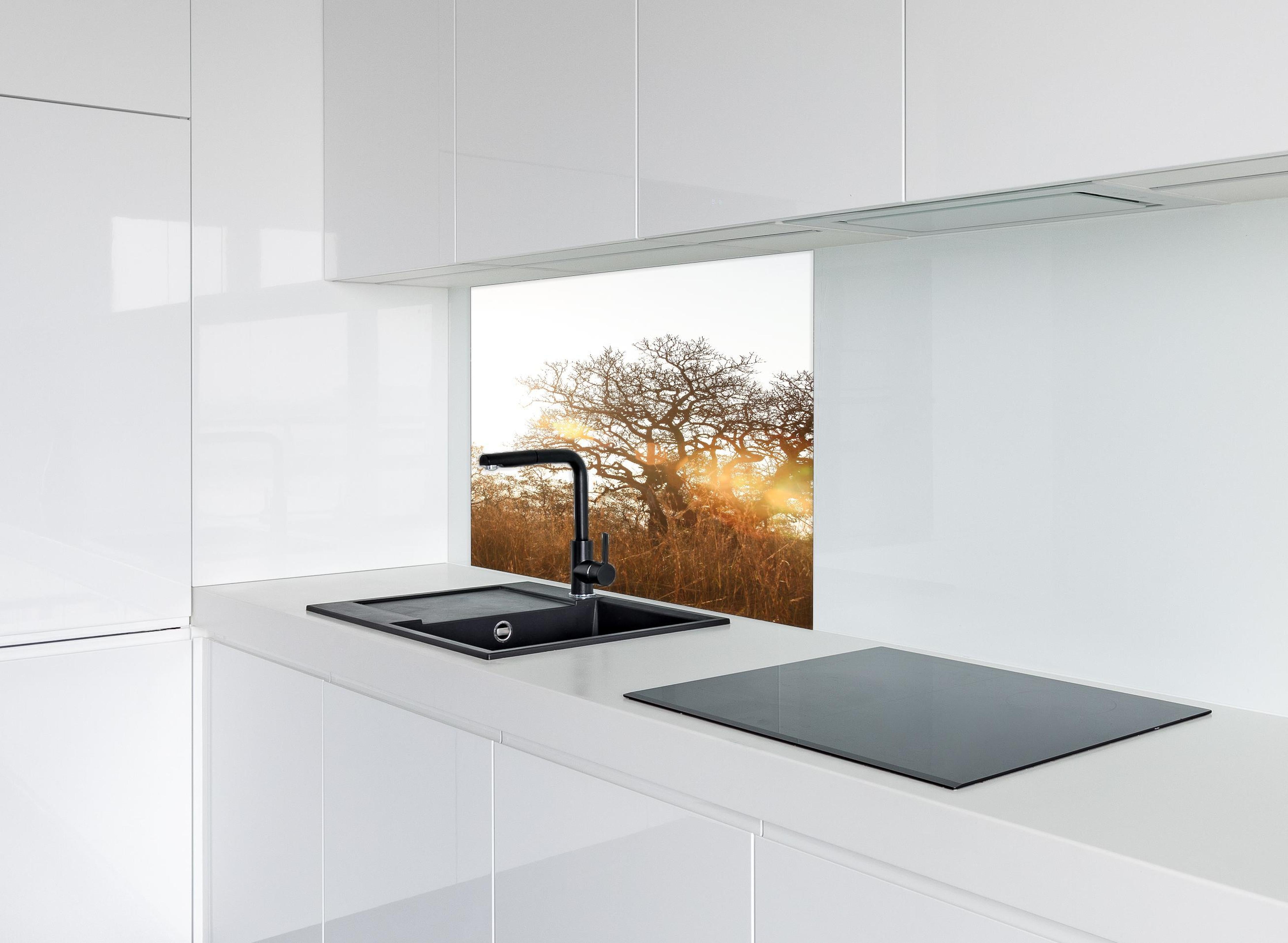 Spritzschutz - Baum im Feld hinter einem Cerankochfeld zwischen Holz-Kochutensilien
