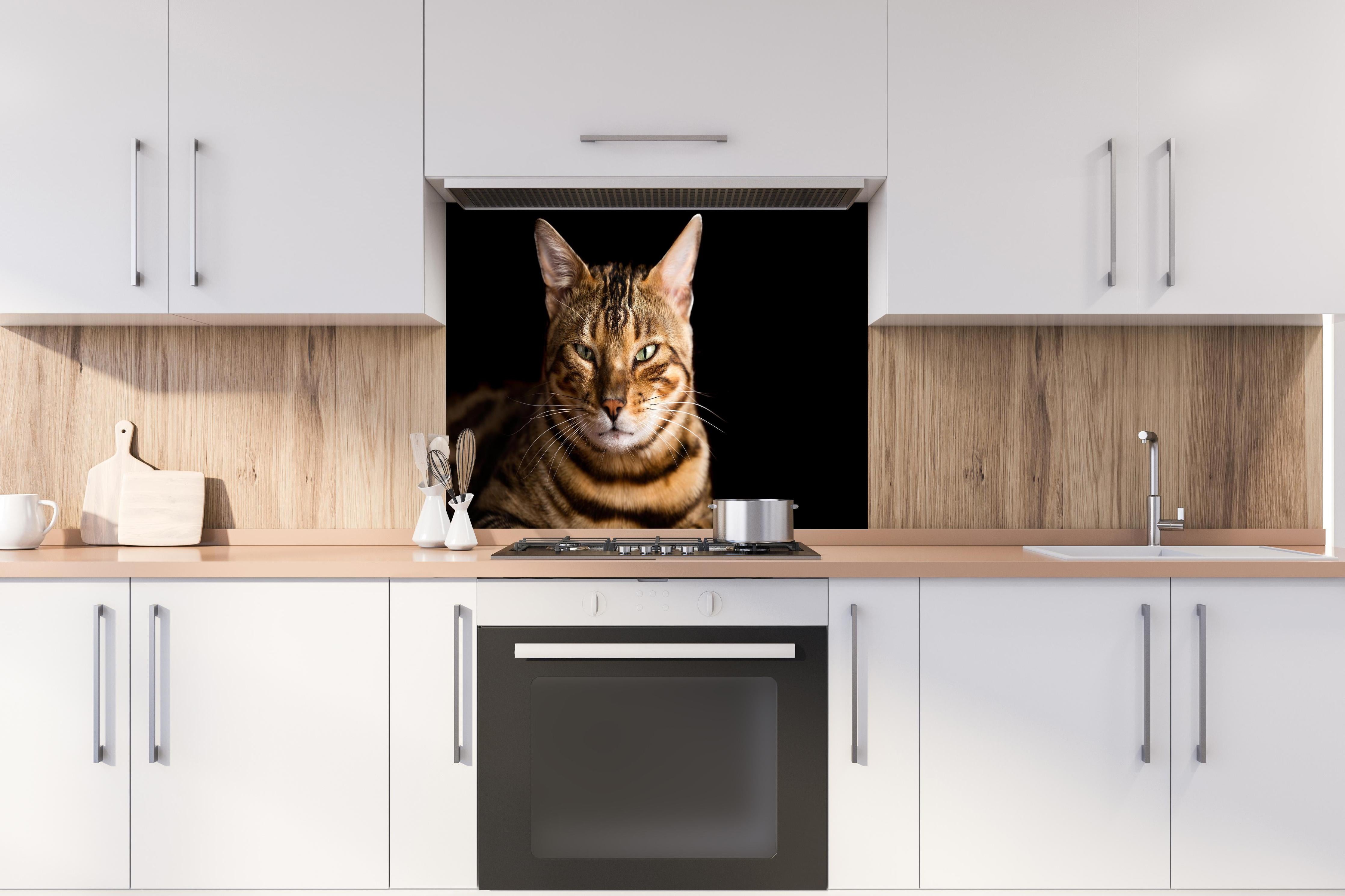 Spritzschutz - Bengalkatze Portrait hinter einem Cerankochfeld zwischen Holz-Kochutensilien
