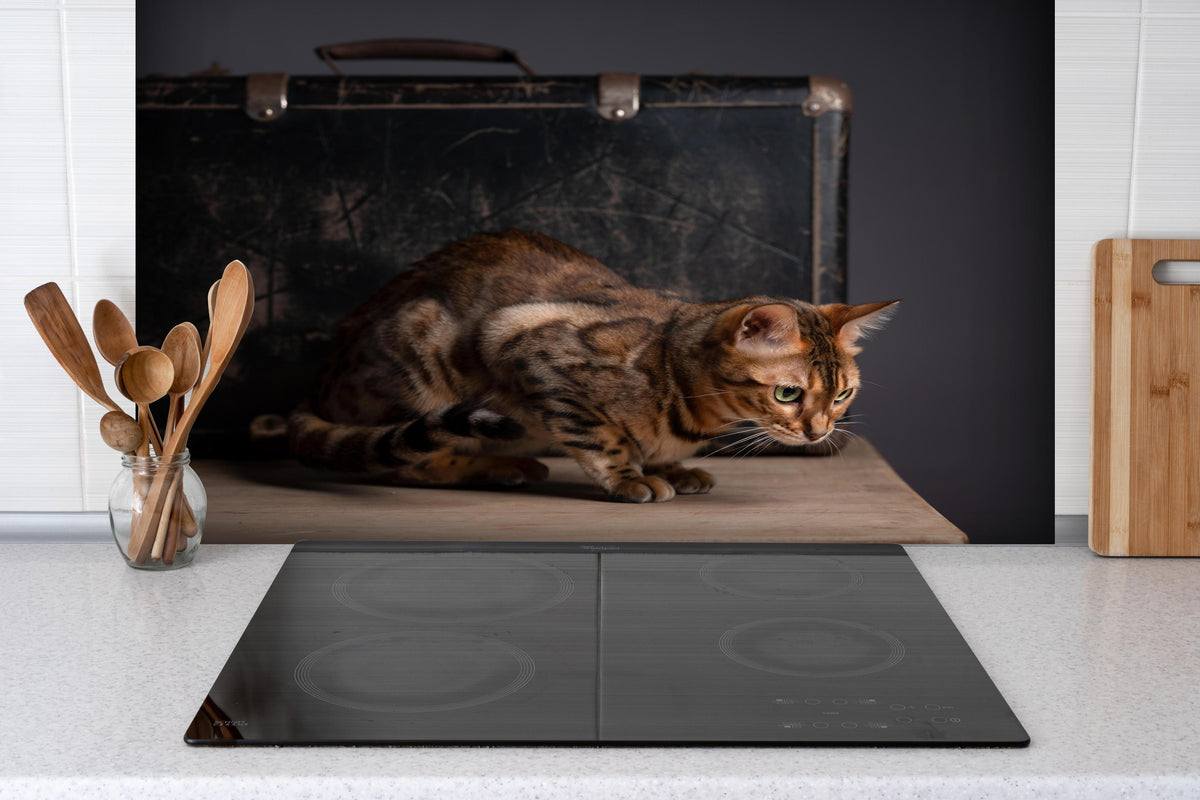 Spritzschutz - Bengalkatze auf Holztisch hinter einem Cerankochfeld zwischen Holz-Kochutensilien
