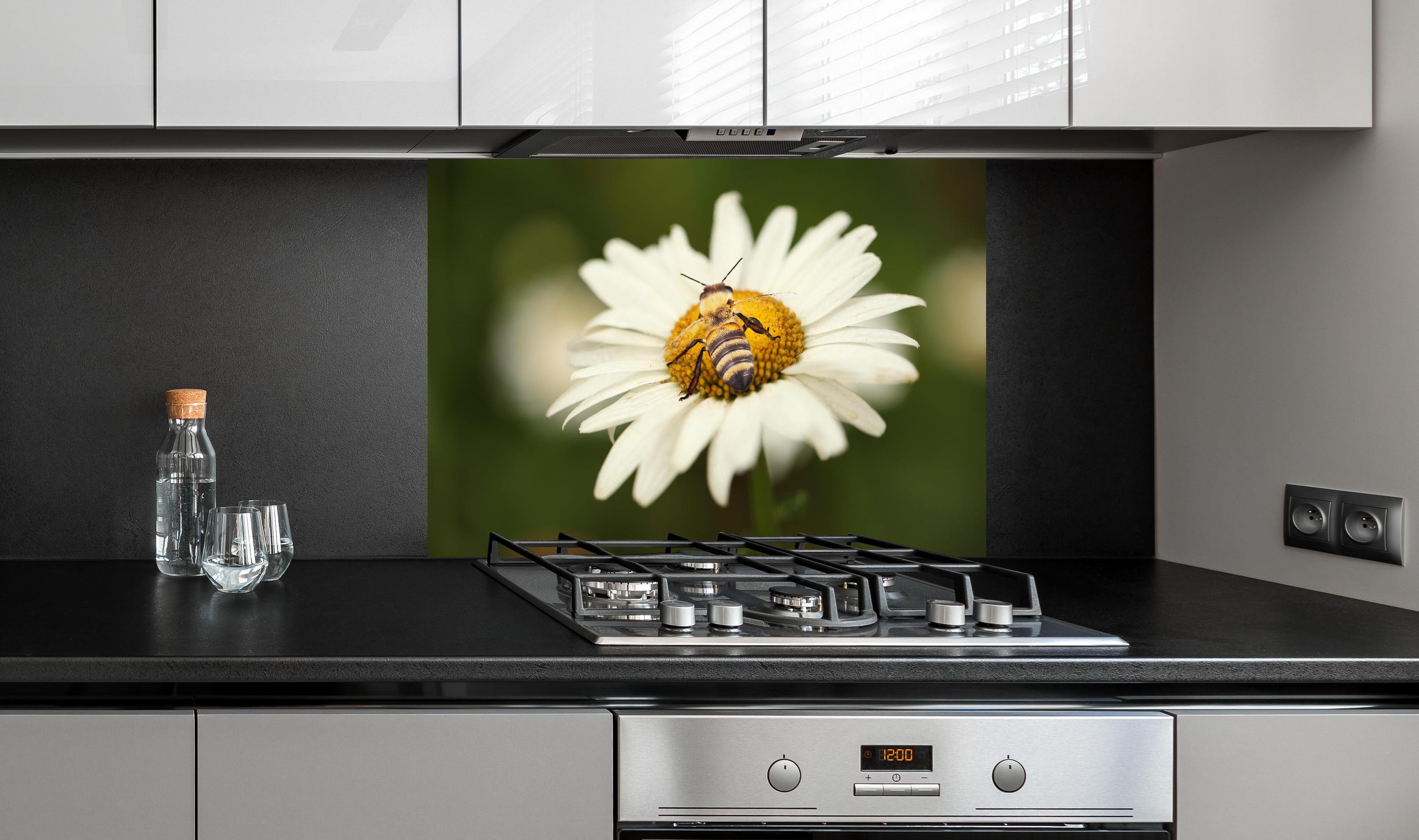 Spritzschutz - Biene auf einem Gänseblümchen hinter einem Cerankochfeld zwischen Holz-Kochutensilien
