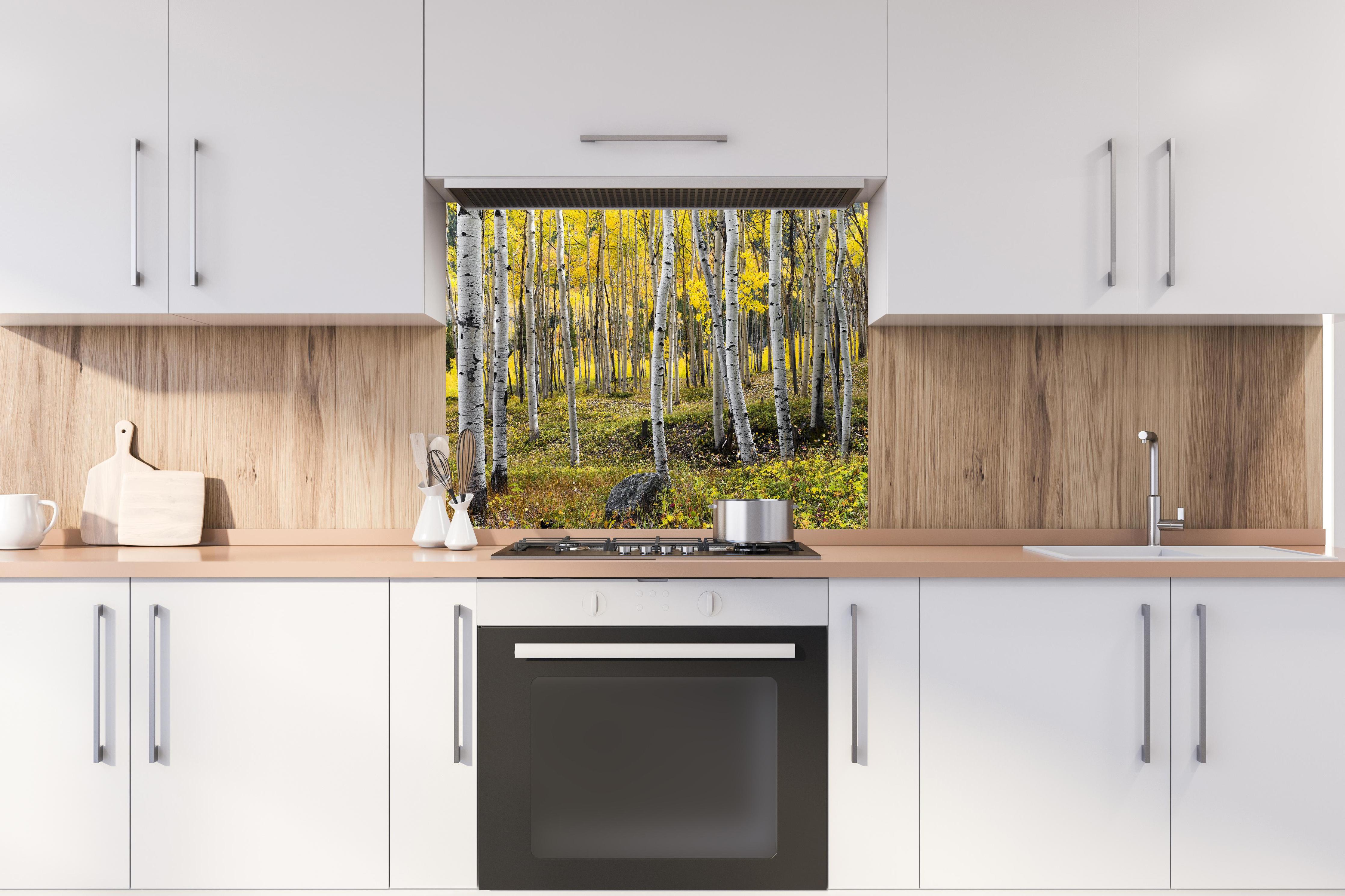 Spritzschutz - Birken im Herbst hinter einem Cerankochfeld zwischen Holz-Kochutensilien
