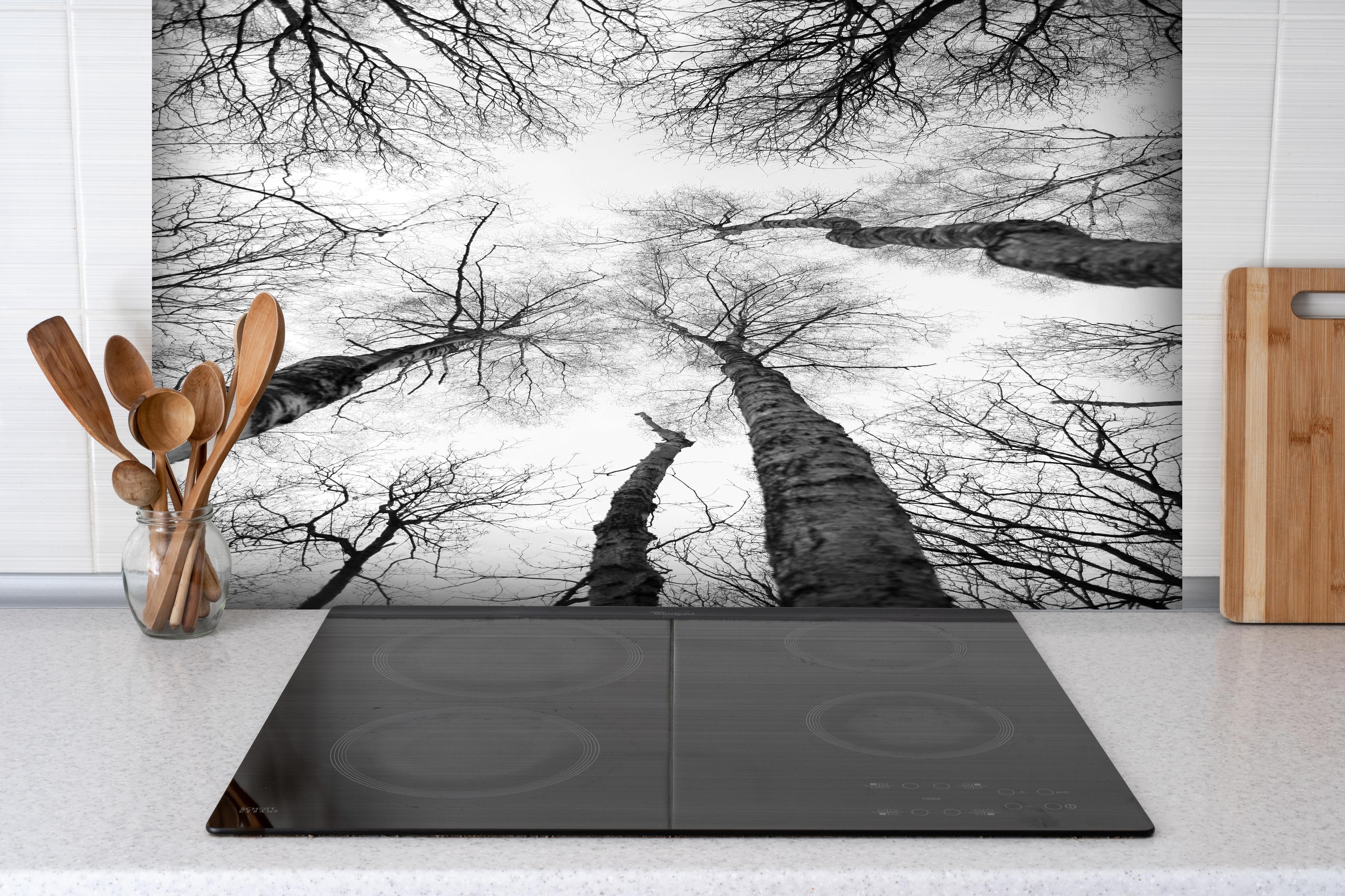 Spritzschutz - Birken im Winter von unten hinter einem Cerankochfeld zwischen Holz-Kochutensilien
