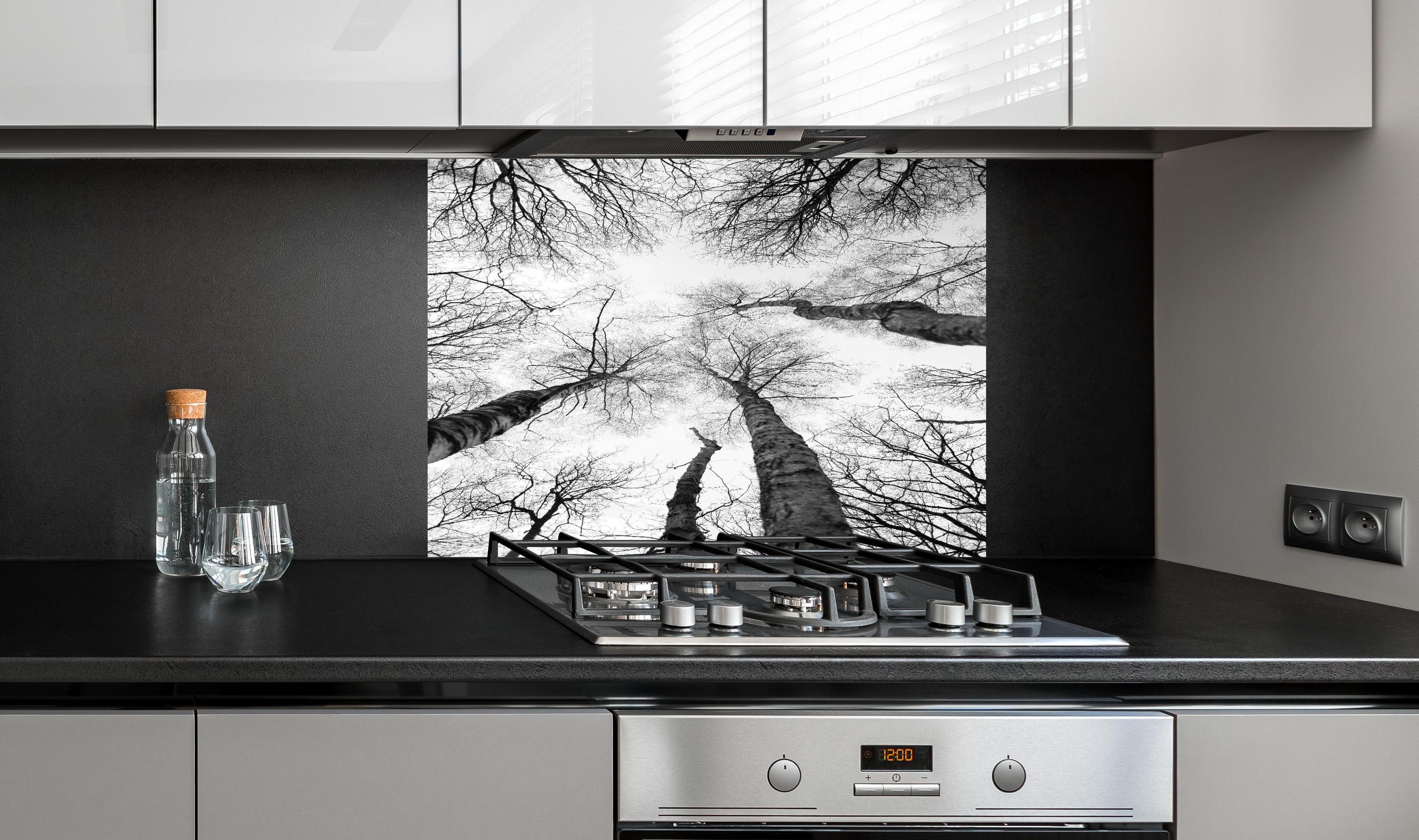 Spritzschutz - Birken im Winter von unten hinter einem Cerankochfeld zwischen Holz-Kochutensilien
