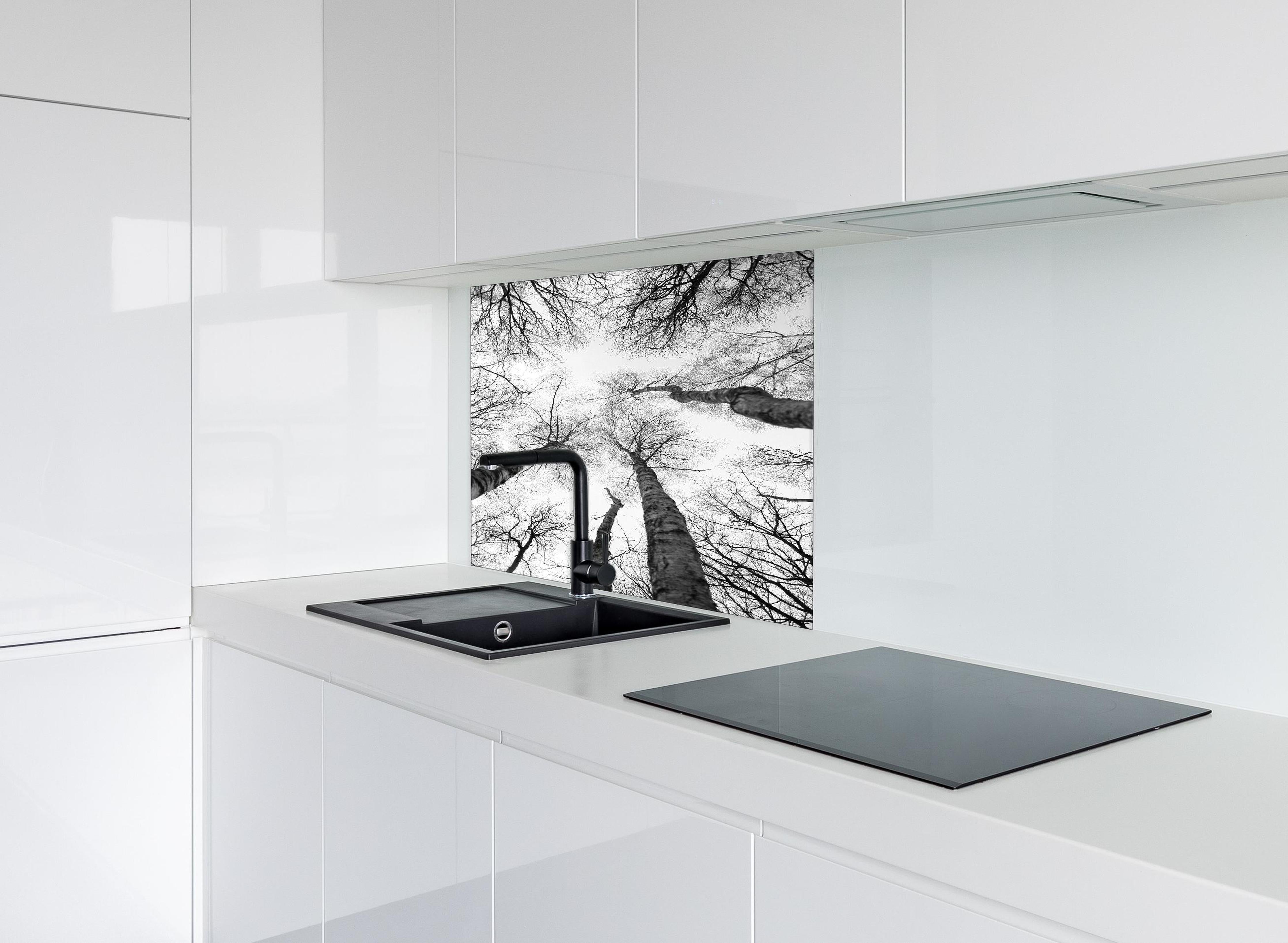 Spritzschutz - Birken im Winter von unten hinter einem Cerankochfeld zwischen Holz-Kochutensilien
