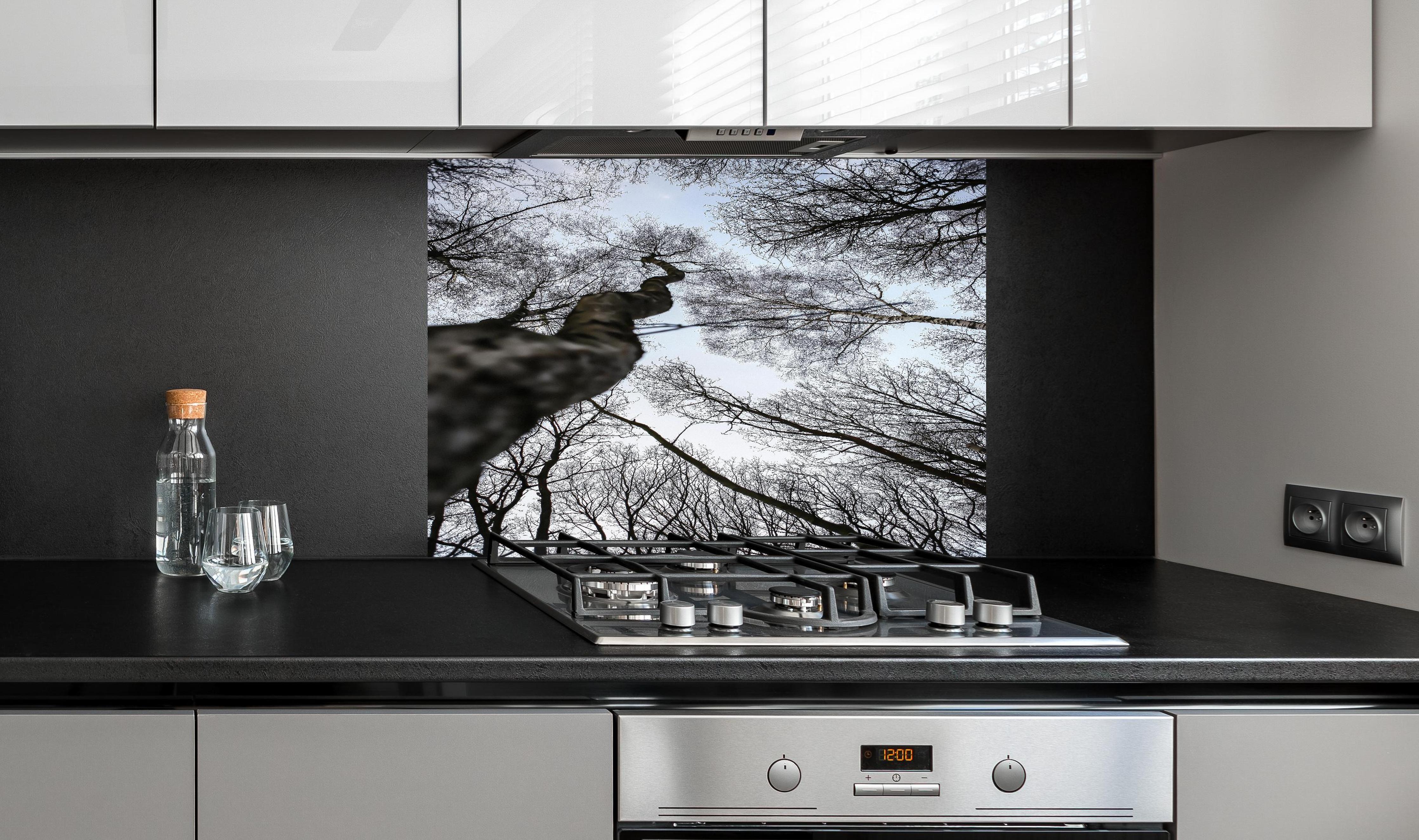 Spritzschutz - Birkenwald im WInter hinter einem Cerankochfeld zwischen Holz-Kochutensilien
