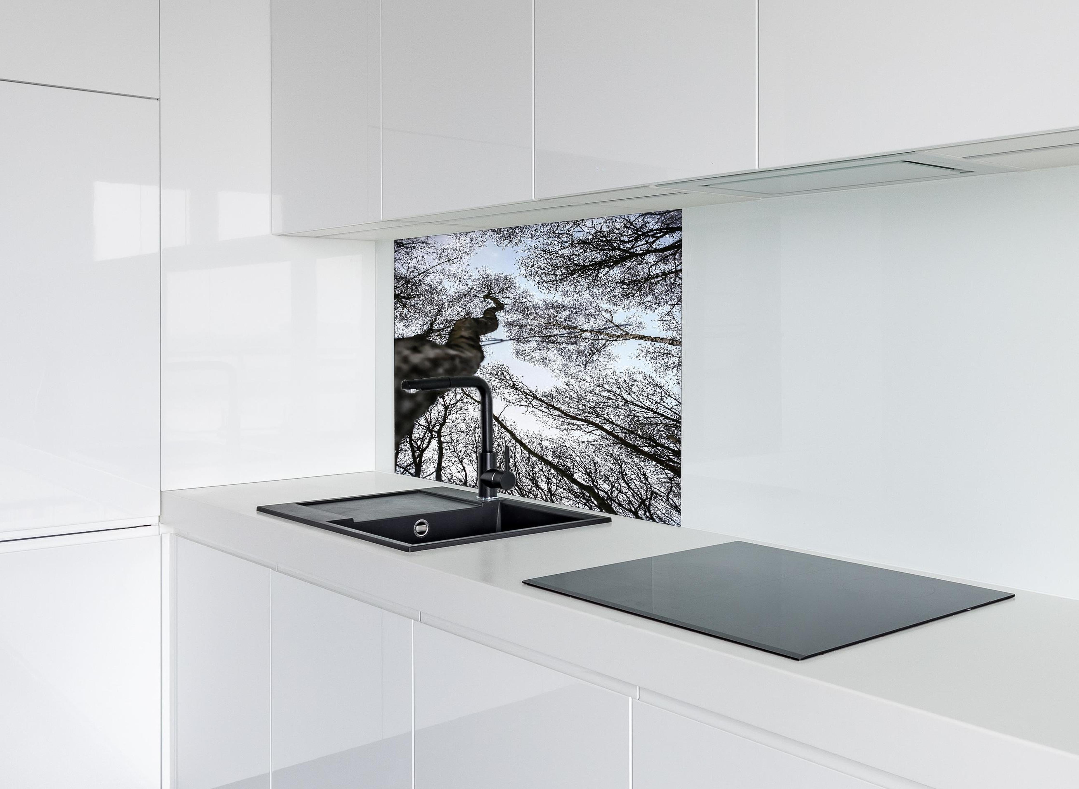 Spritzschutz - Birkenwald im WInter hinter einem Cerankochfeld zwischen Holz-Kochutensilien
