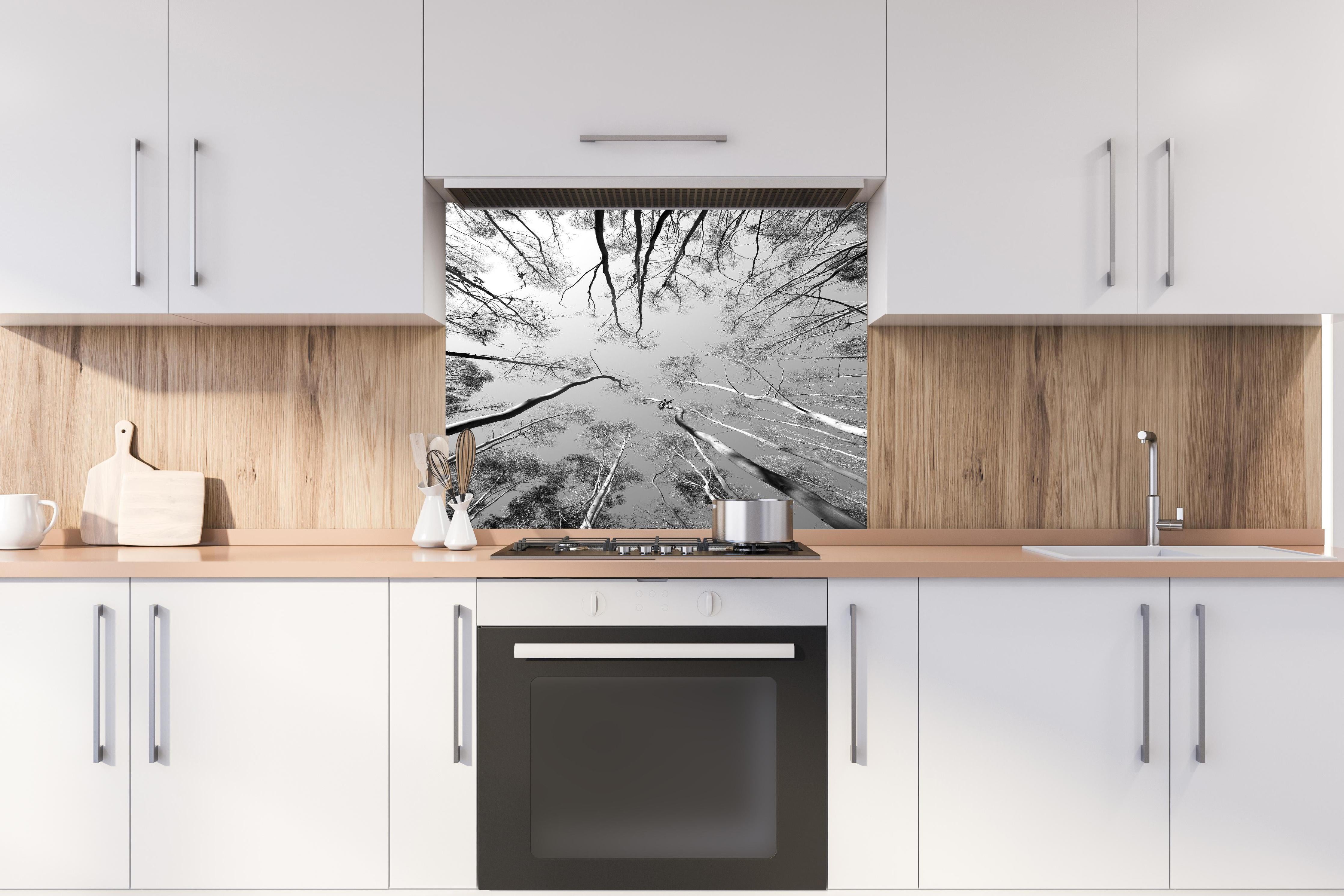 Spritzschutz - Birkenwald im Winter von unten hinter einem Cerankochfeld zwischen Holz-Kochutensilien
