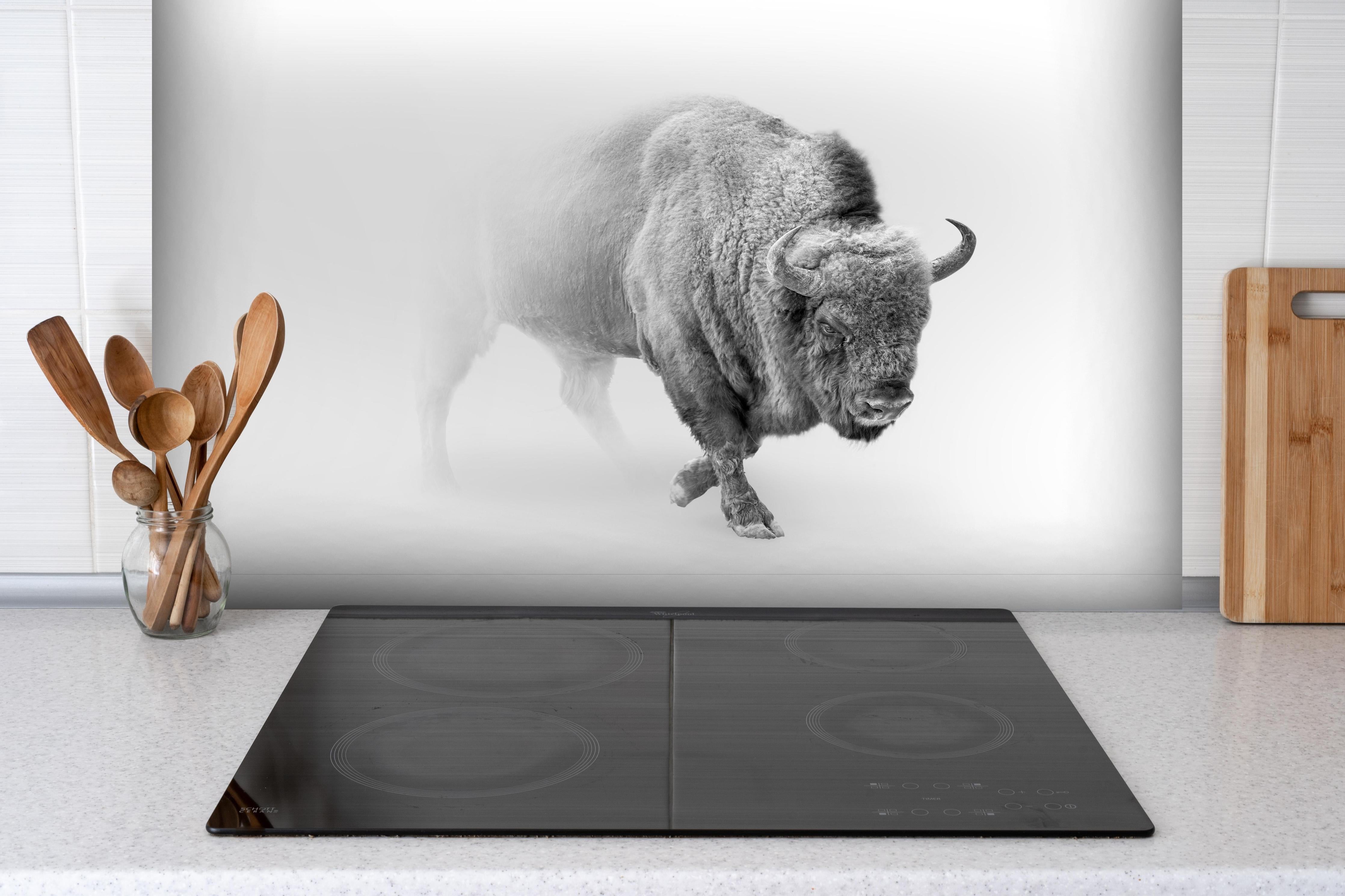 Spritzschutz - Bison Graustufenbild hinter einem Cerankochfeld zwischen Holz-Kochutensilien
