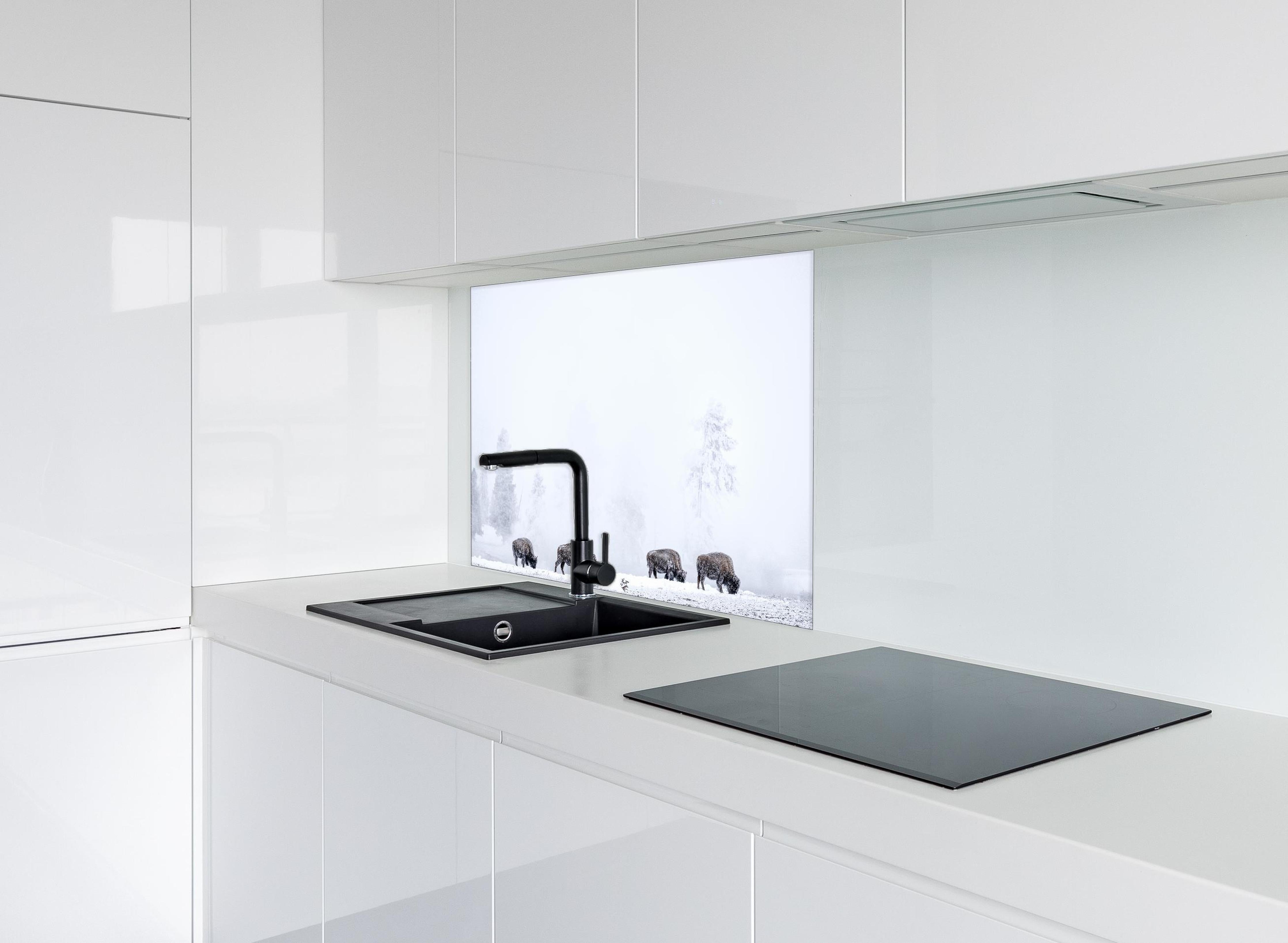 Spritzschutz - Bisons im kalten Wald hinter einem Cerankochfeld zwischen Holz-Kochutensilien
