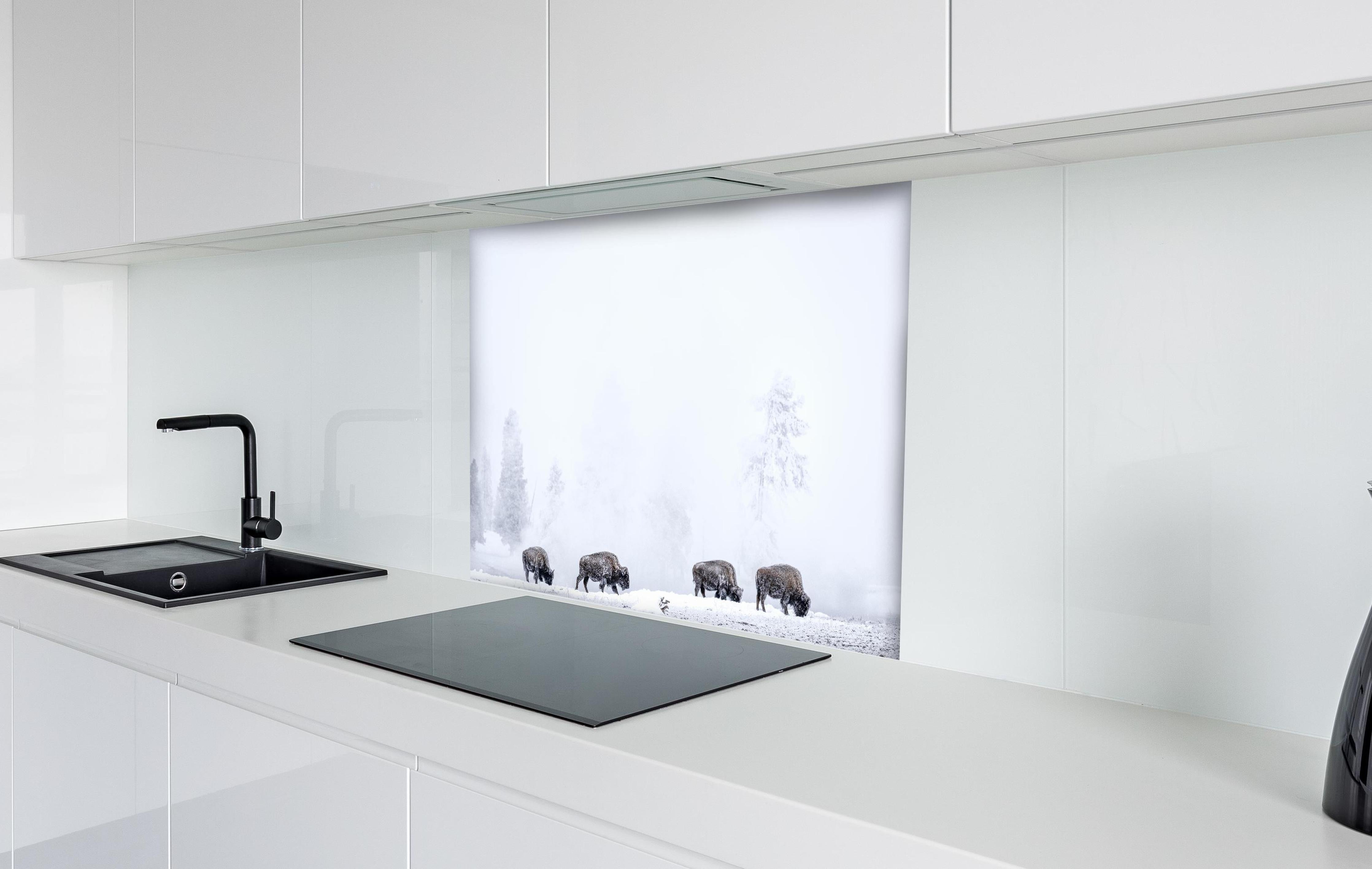 Spritzschutz - Bisons im kalten Wald hinter einem Cerankochfeld zwischen Holz-Kochutensilien
