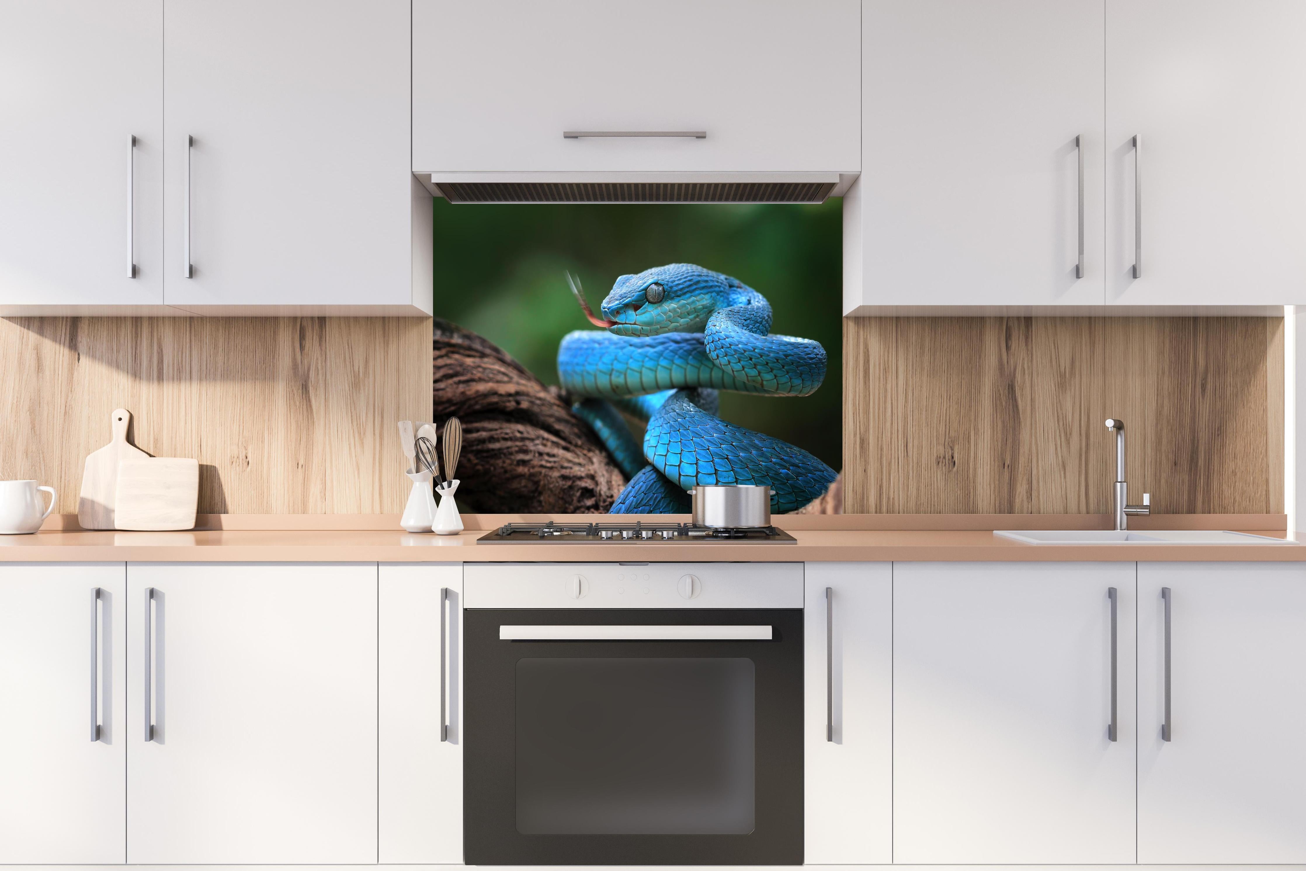 Spritzschutz - Blaue insularis Vipern-Nahaufnahme hinter einem Cerankochfeld zwischen Holz-Kochutensilien
