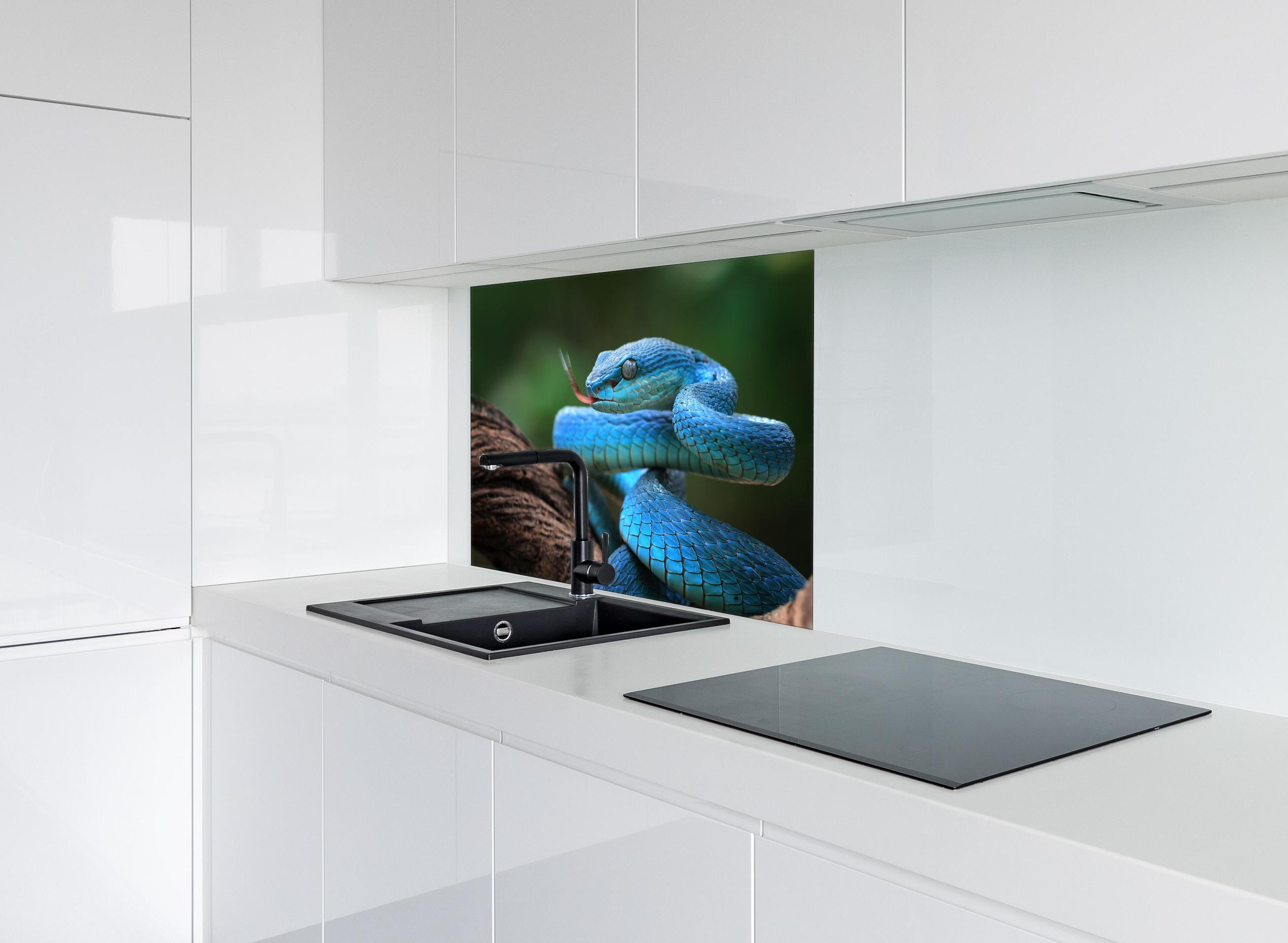 Spritzschutz - Blaue insularis Vipern-Nahaufnahme hinter einem Cerankochfeld zwischen Holz-Kochutensilien
