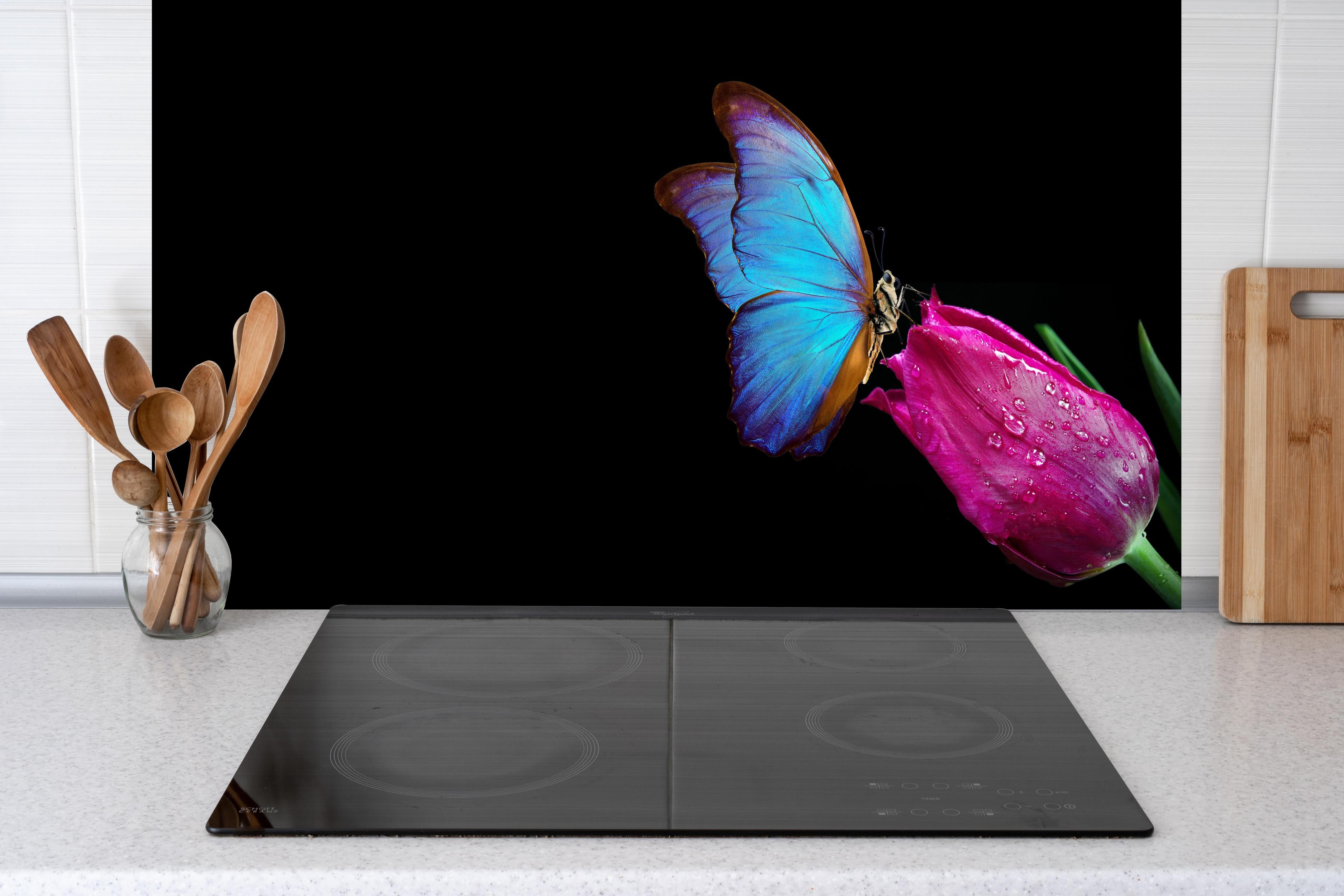 Spritzschutz - Blauer Morphofalter - schwarzer Hintergrund hinter einem Cerankochfeld zwischen Holz-Kochutensilien

