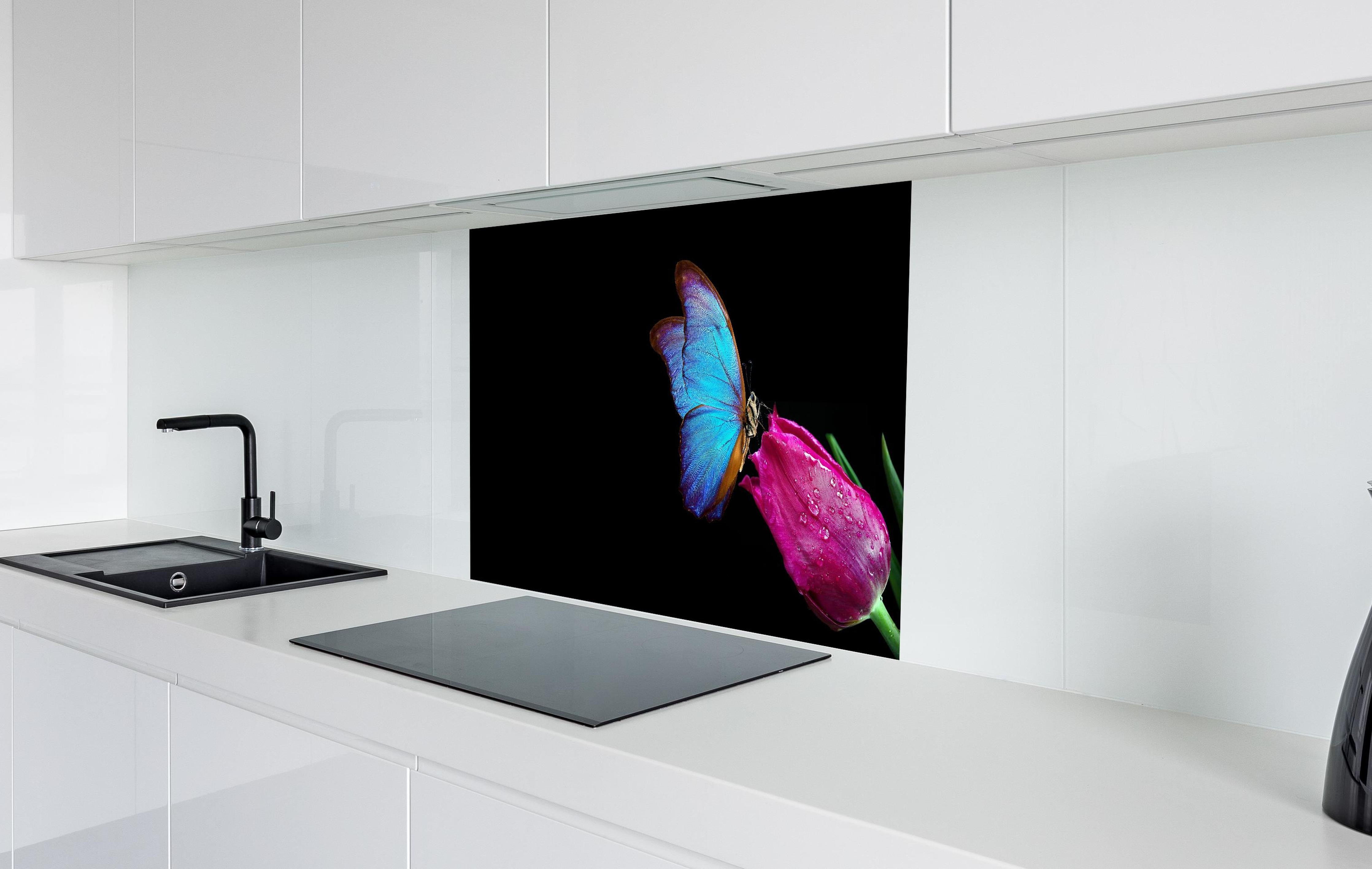 Spritzschutz - Blauer Morphofalter - schwarzer Hintergrund hinter einem Cerankochfeld zwischen Holz-Kochutensilien
