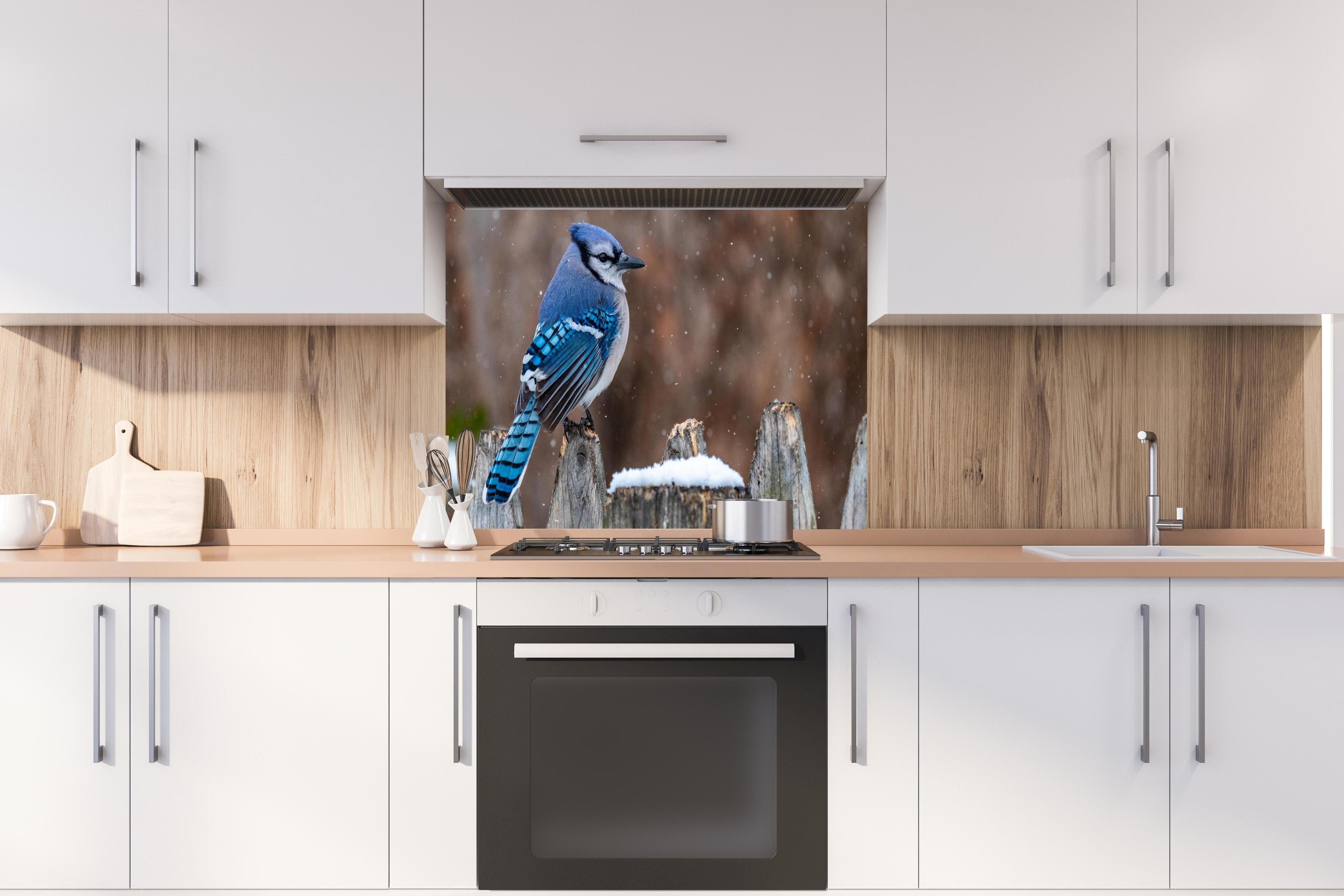 Spritzschutz - Blauhäher im Schnee hinter einem Cerankochfeld zwischen Holz-Kochutensilien
