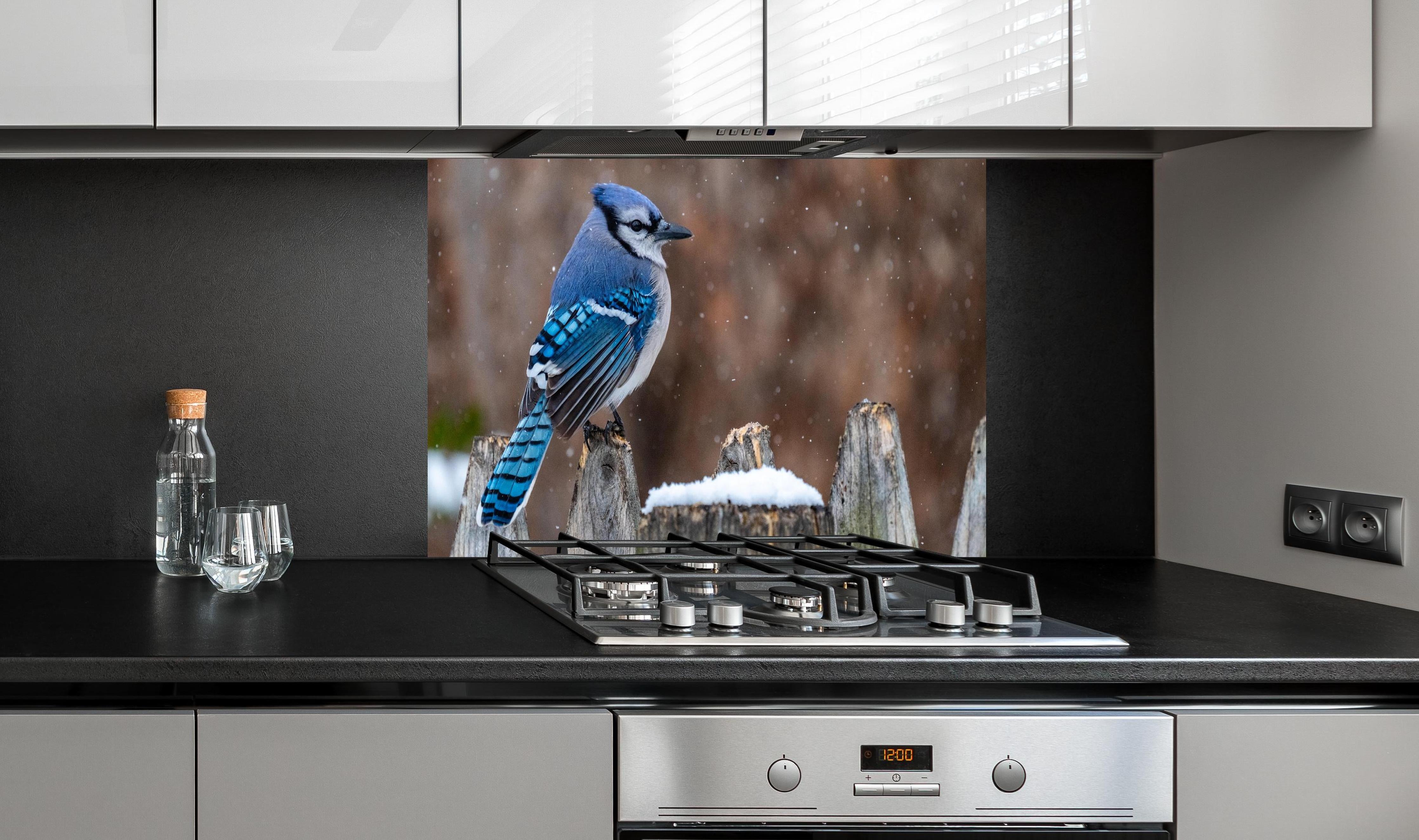 Spritzschutz - Blauhäher im Schnee hinter einem Cerankochfeld zwischen Holz-Kochutensilien
