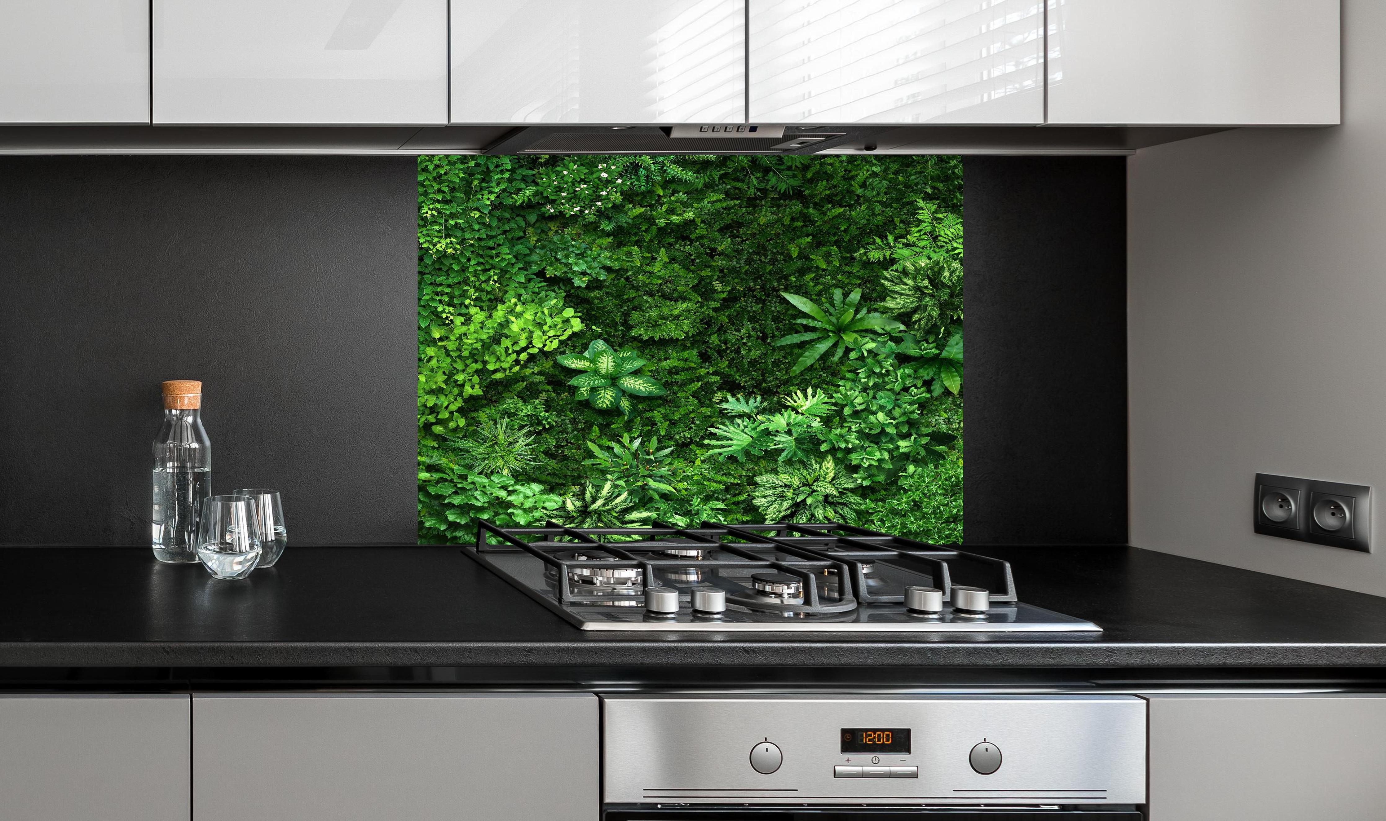 Spritzschutz - Blick auf organischen Wald hinter einem Cerankochfeld zwischen Holz-Kochutensilien
