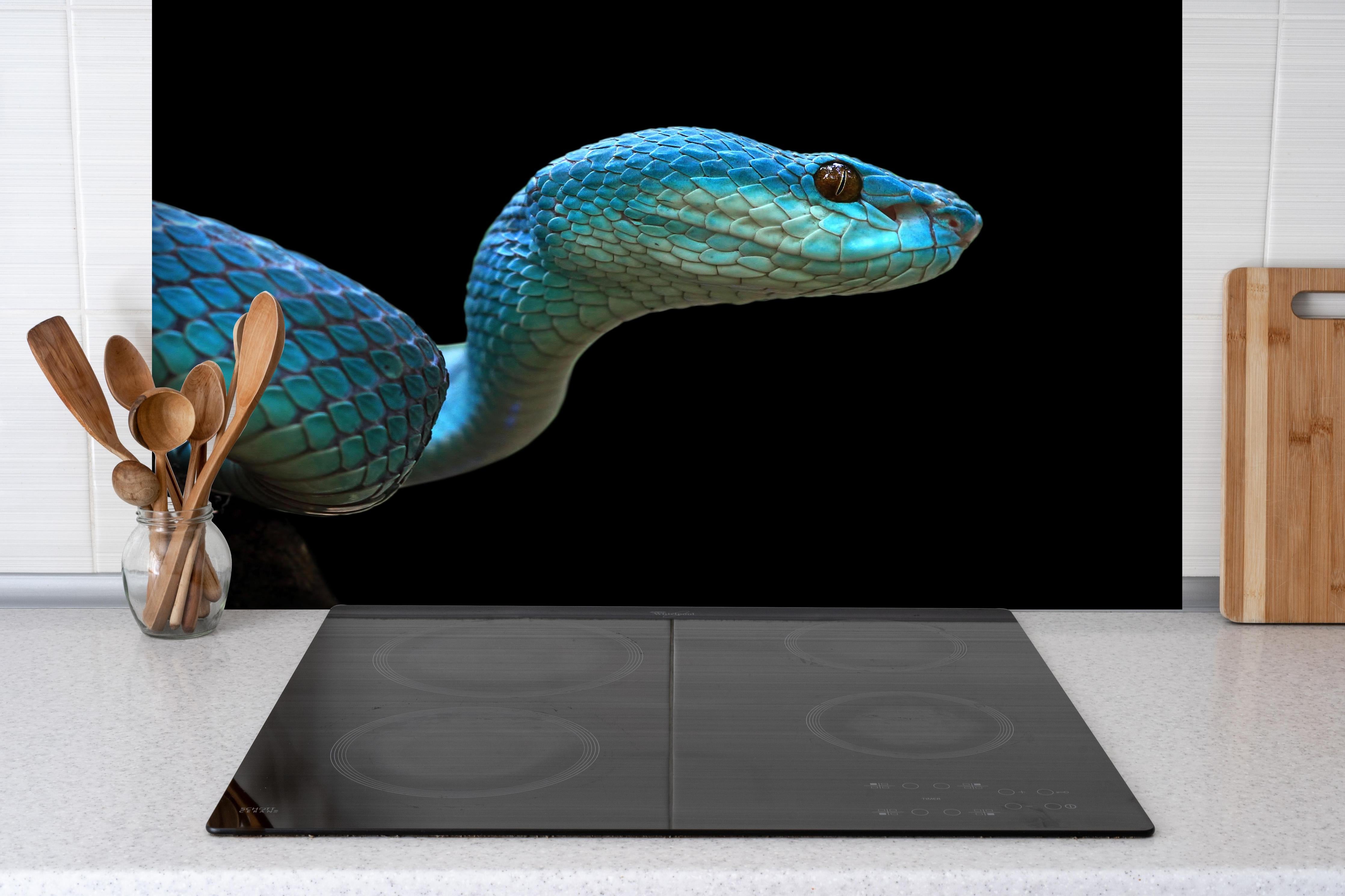 Spritzschutz - Blue Insularis Schlange Gesicht Nahaufnahme hinter einem Cerankochfeld zwischen Holz-Kochutensilien
