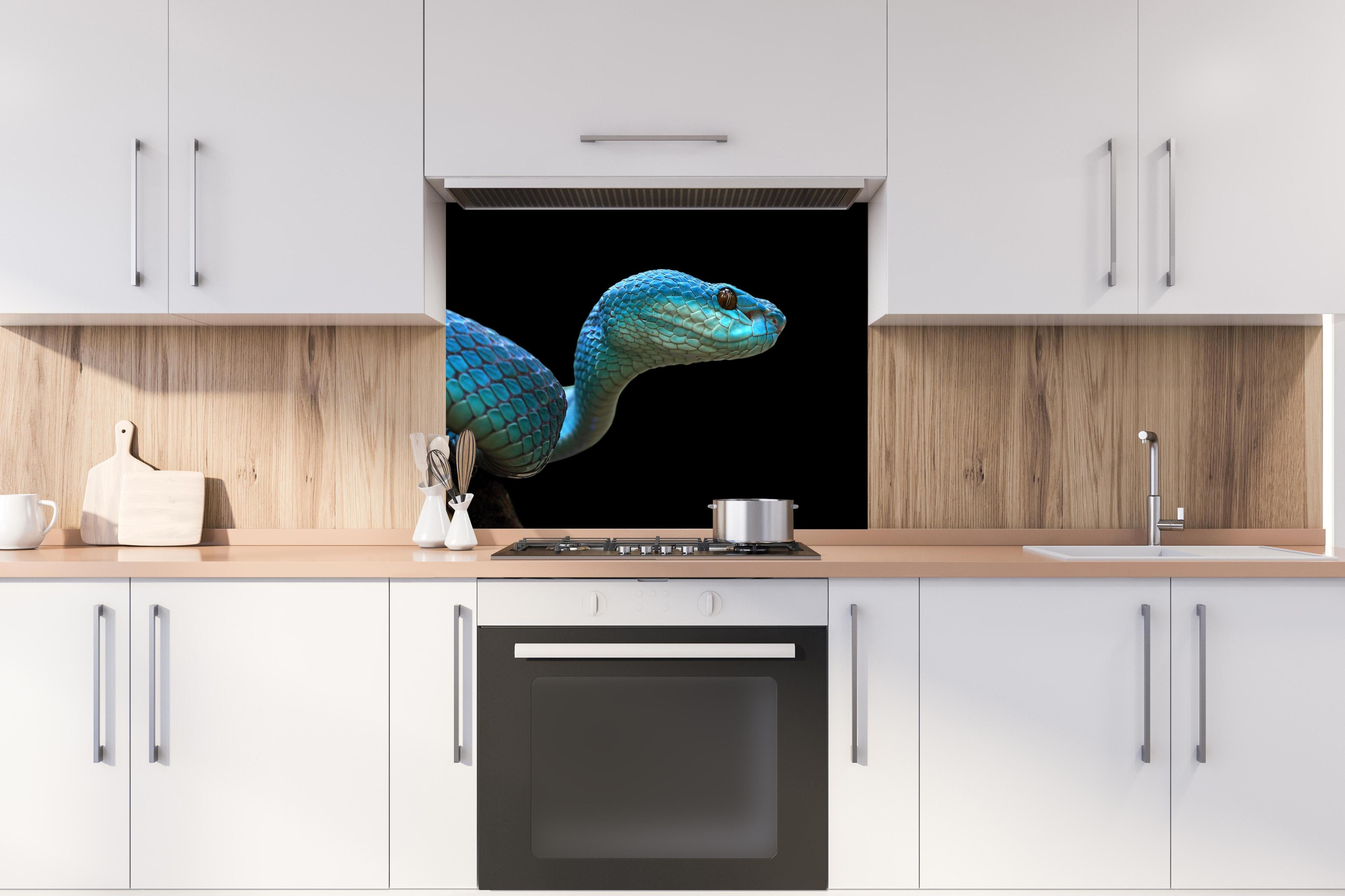 Spritzschutz - Blue Insularis Schlange Gesicht Nahaufnahme hinter einem Cerankochfeld zwischen Holz-Kochutensilien
