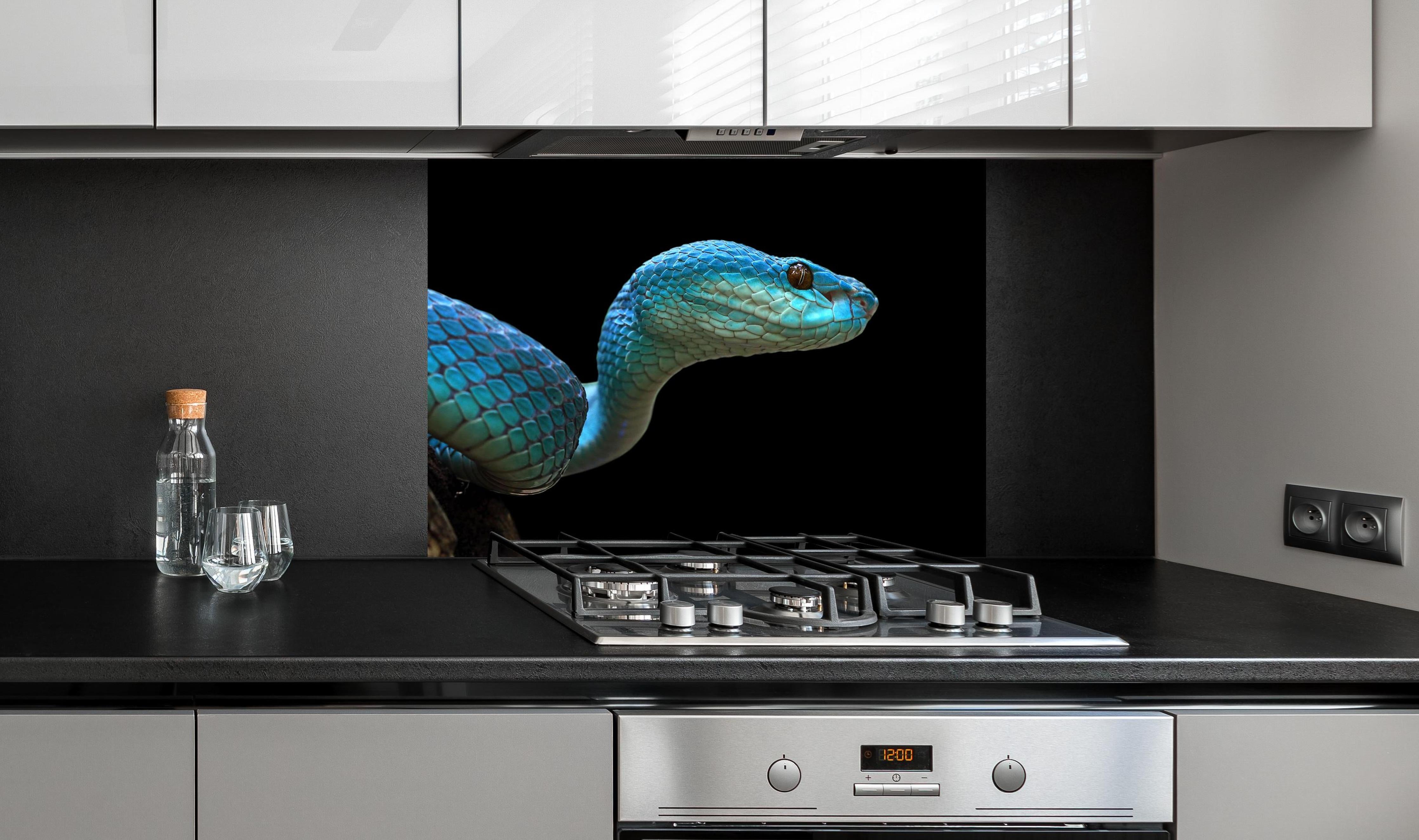 Spritzschutz - Blue Insularis Schlange Gesicht Nahaufnahme hinter einem Cerankochfeld zwischen Holz-Kochutensilien
